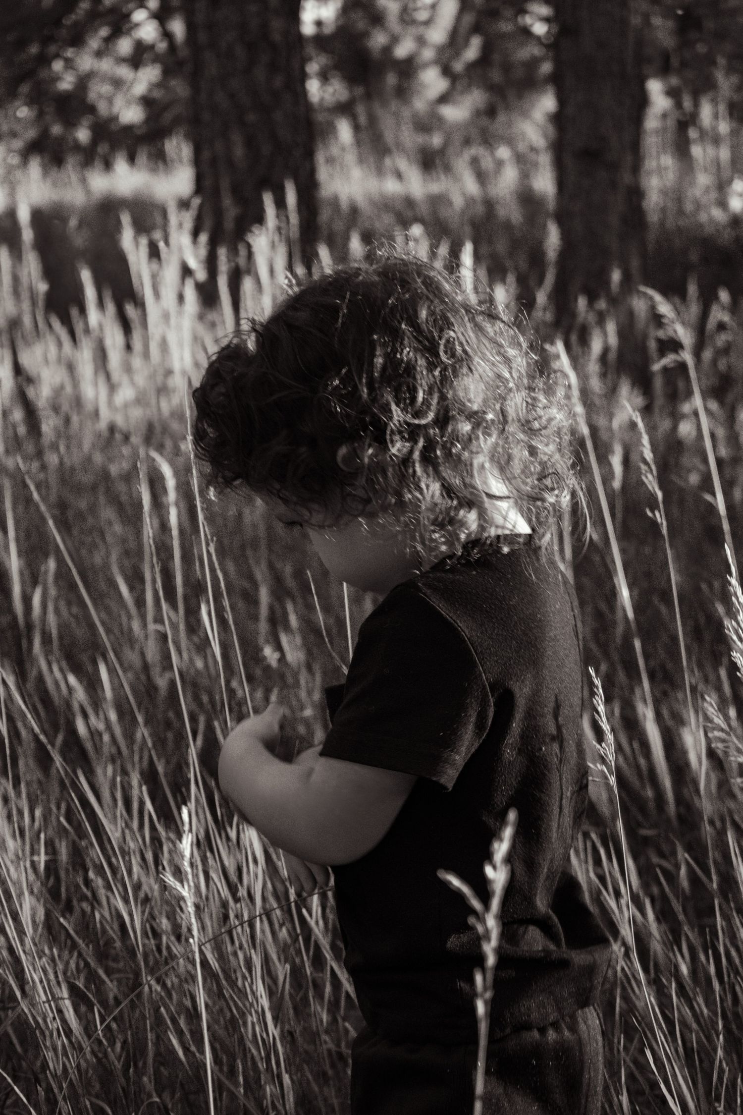 Black and white photo of a curly-haired child standing in tall grass among trees. Family Photographer in Pflugerville, Tx
