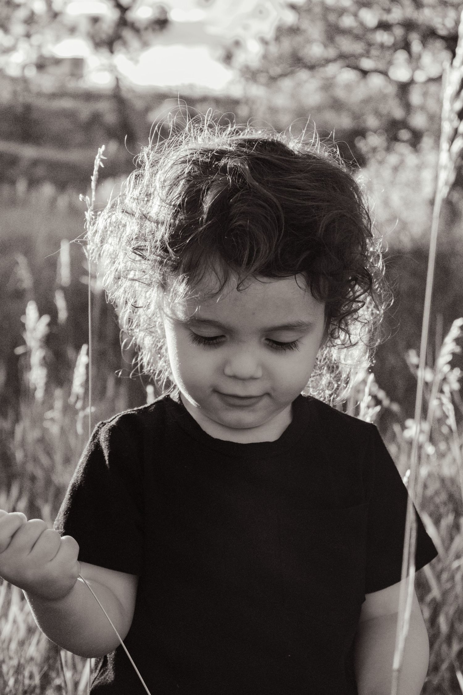 Black and white portrait of a curly-haired toddler in a black shirt exploring nature.