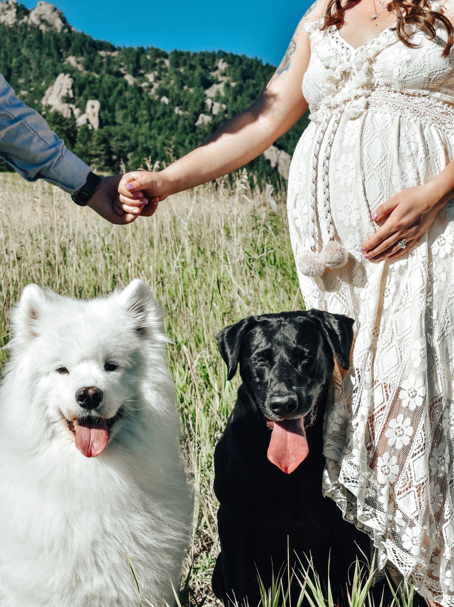 A woman in white lace dress holds hands with partner outdoors, flanked by dogs.  Maternity Photographer in Pflugerville, Tx