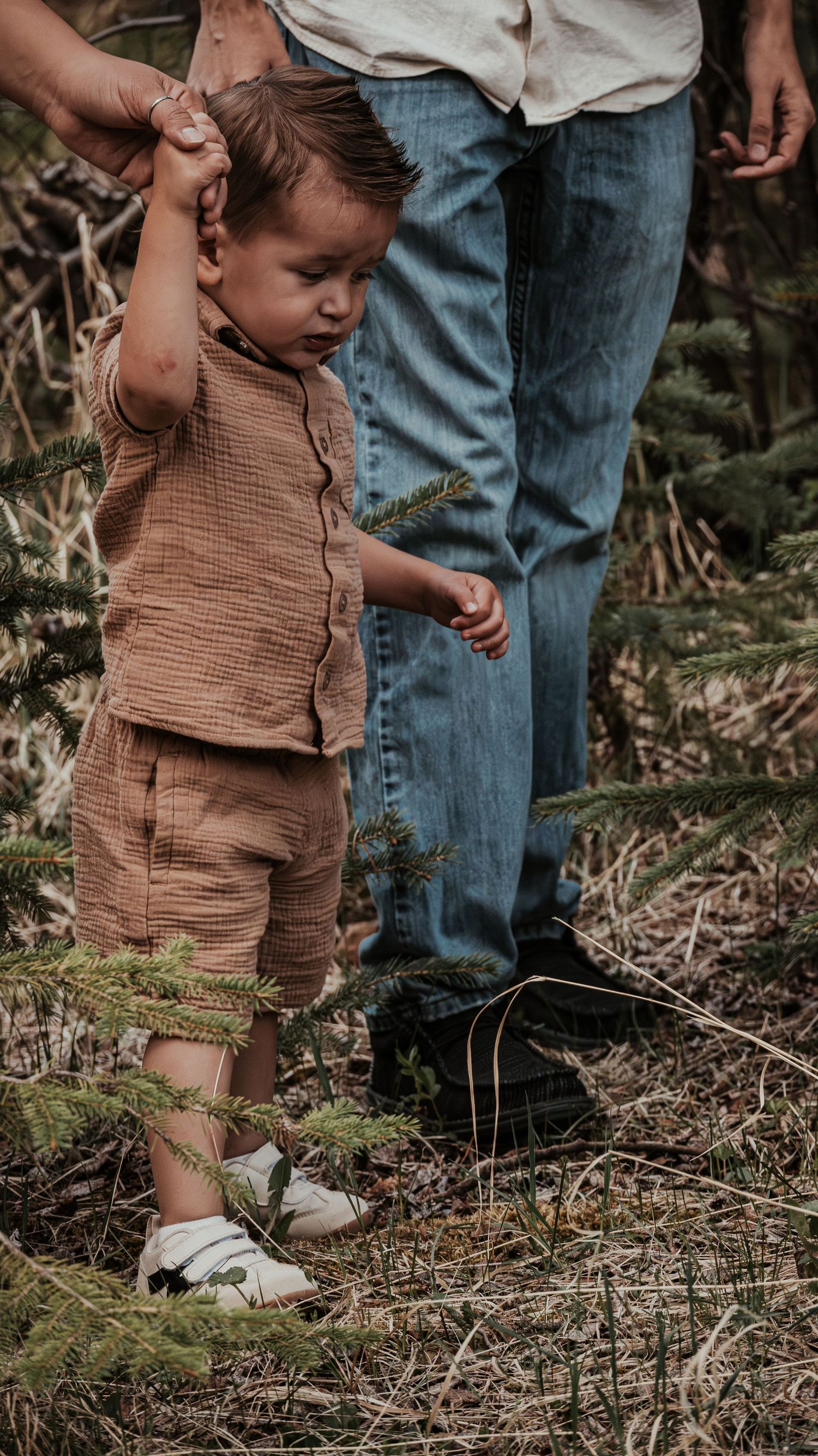 Curious toddler boy in brown outfit holding parent's hand while standing near evergreen branches.