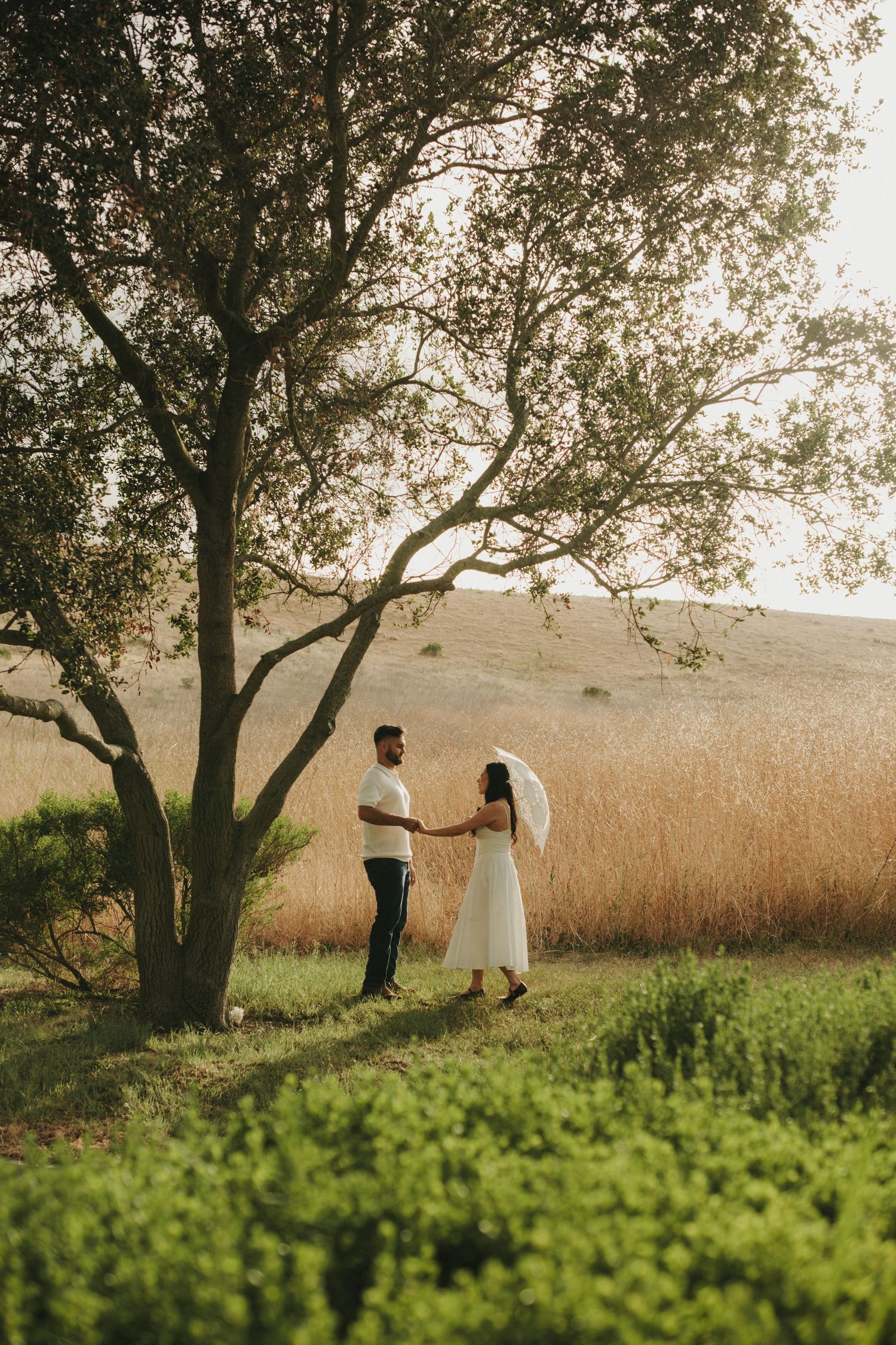Couple holding hands under a large oak tree in a golden field at sunset, woman in white dress.