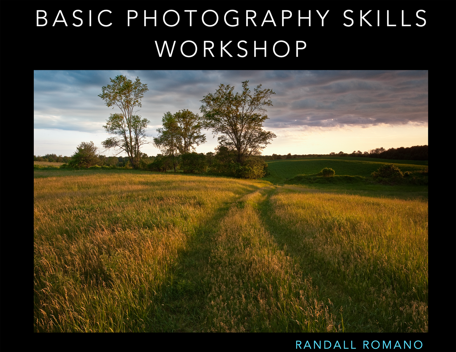 Basic Photography Skills Workshop by Randall Romano featuring a scenic green field with trees at sunset.