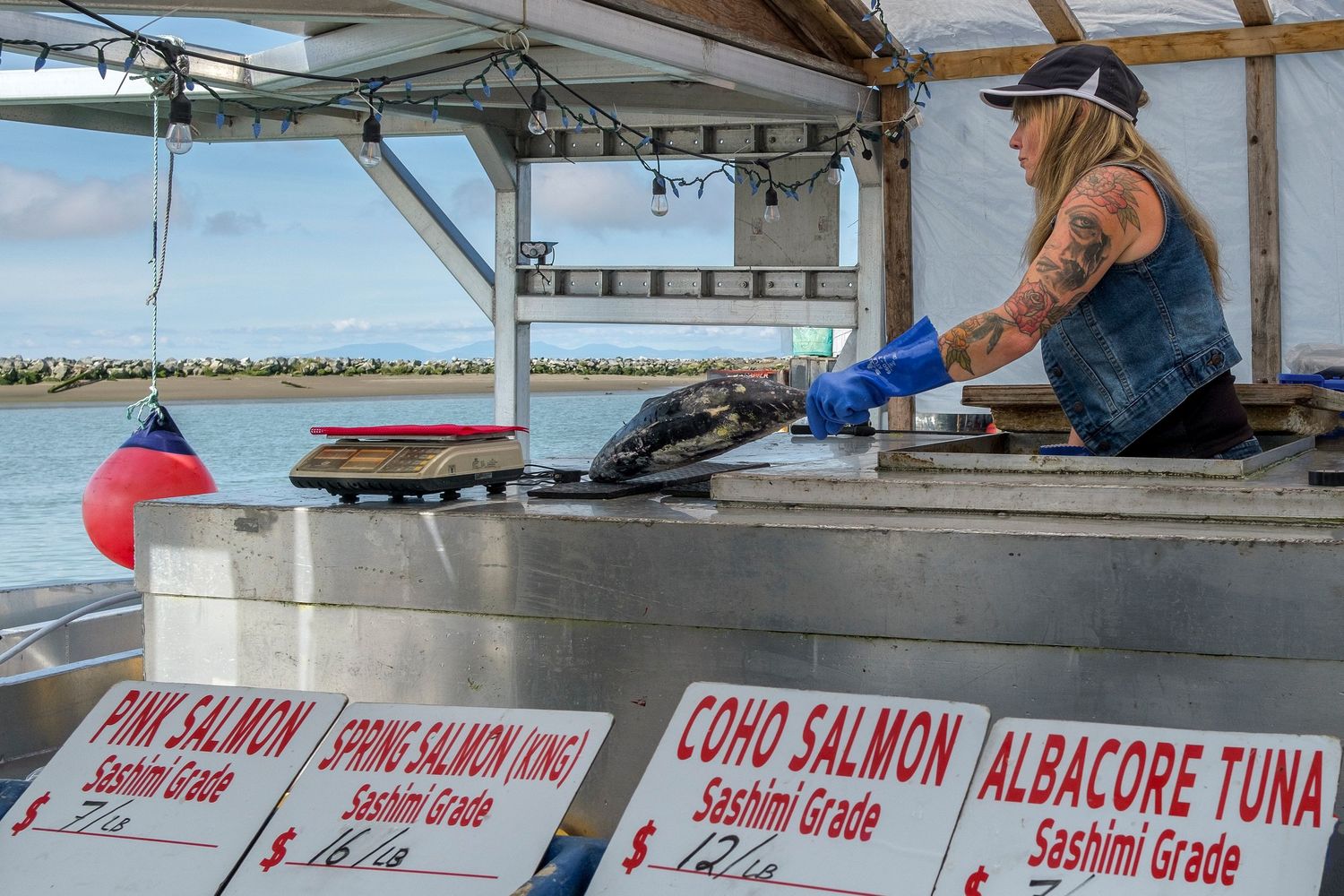 Fishmonger in blue gloves filleting fresh salmon at an outdoor seafood market with Pink, Coho, and Albacore signs.