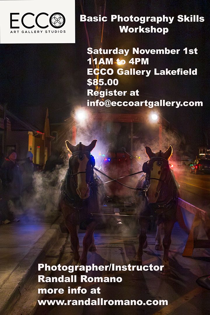 ECCO Art Gallery Basic Photography Skills Workshop flyer featuring dramatic horses in steam on a night street.