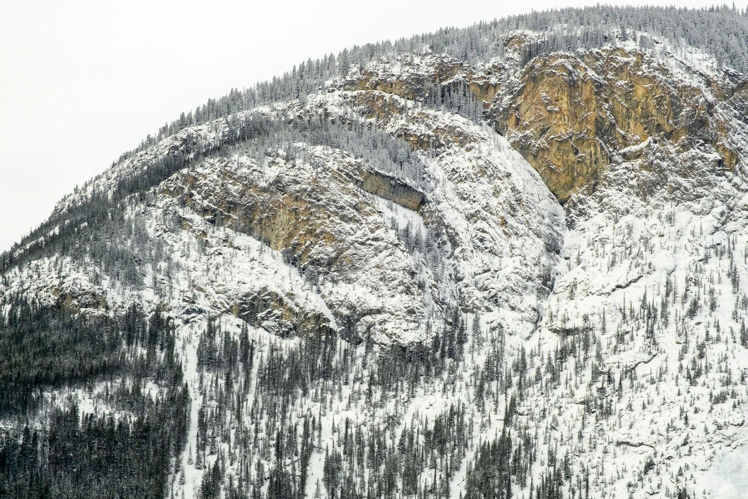 Snow-covered rocky mountain cliffs with dense evergreen forest in winter landscape.
