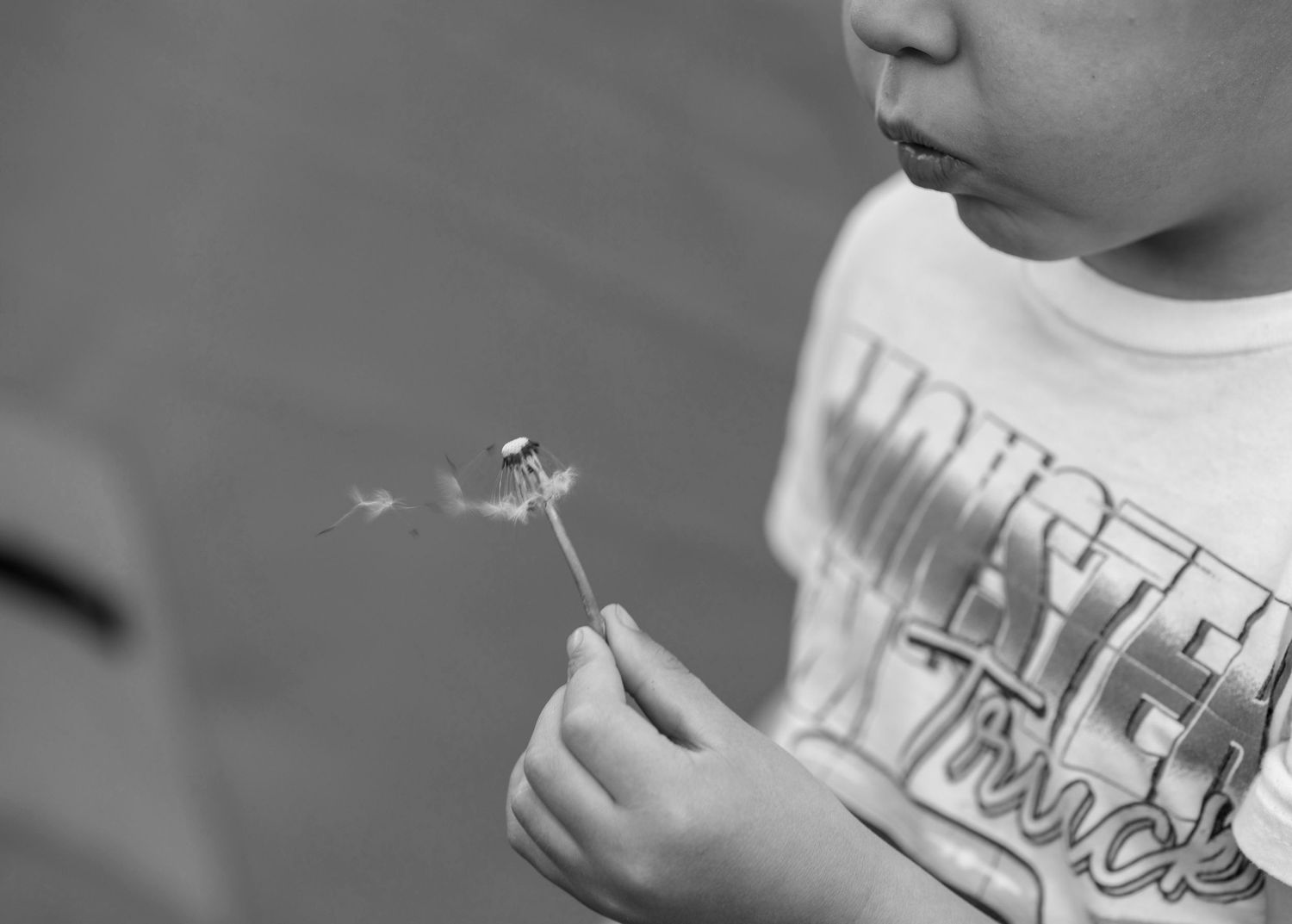 Young boy in Monster Truck shirt blowing dandelion seeds, black and white close-up photo.