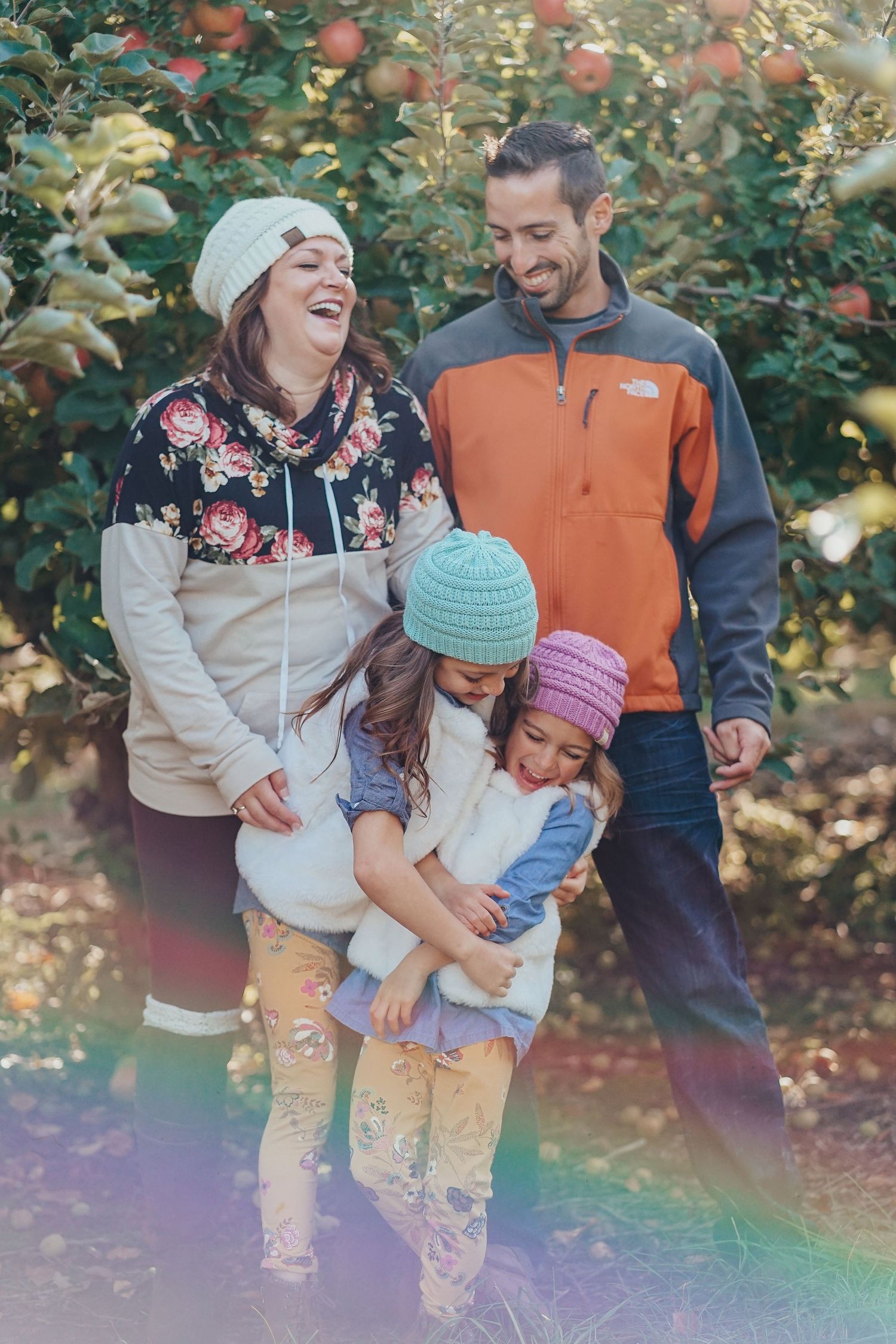 Joyful family of four laughing together in apple orchard during autumn harvest season.
