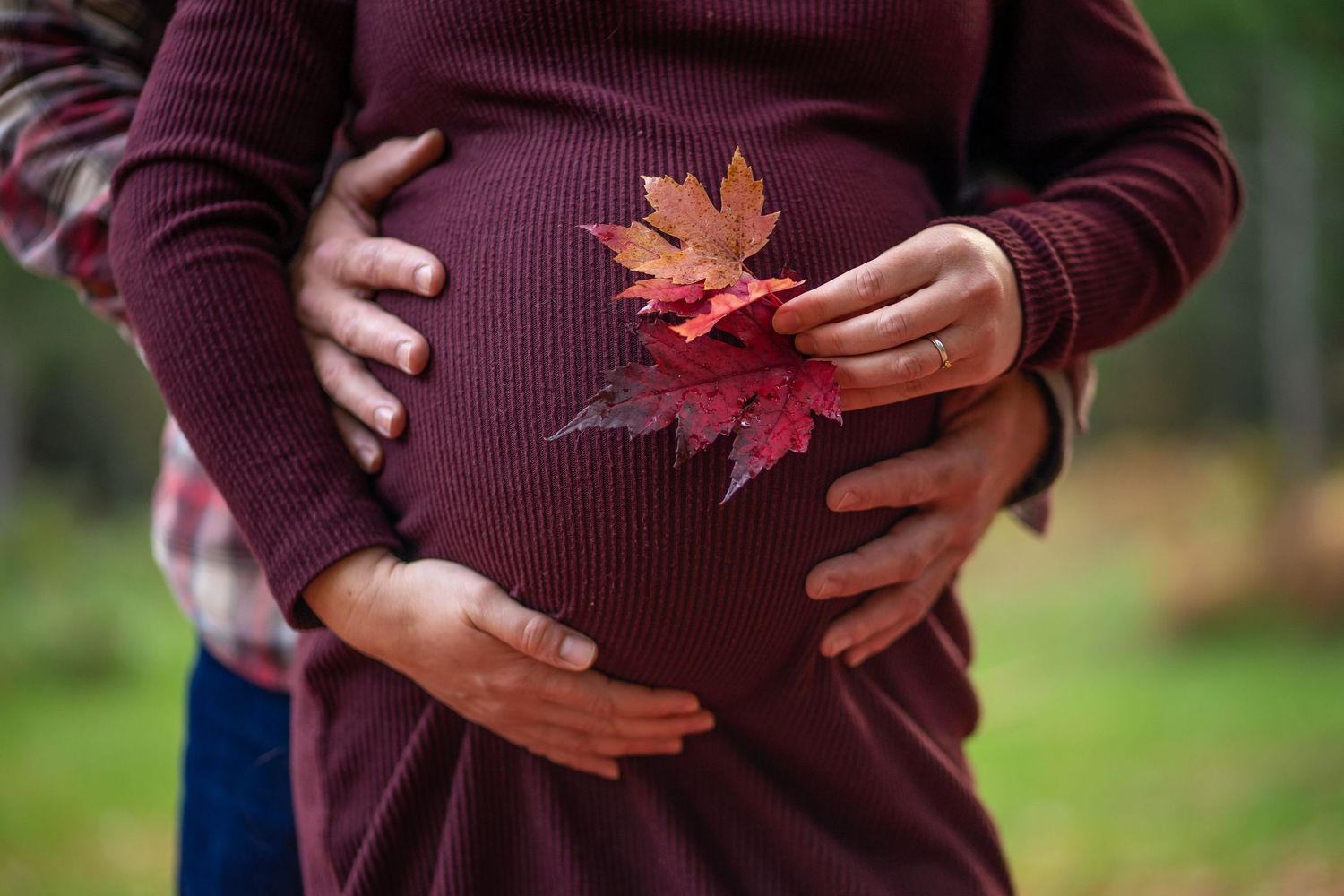 Close-up of pregnant belly with colorful autumn maple leaves held by couple outdoors.