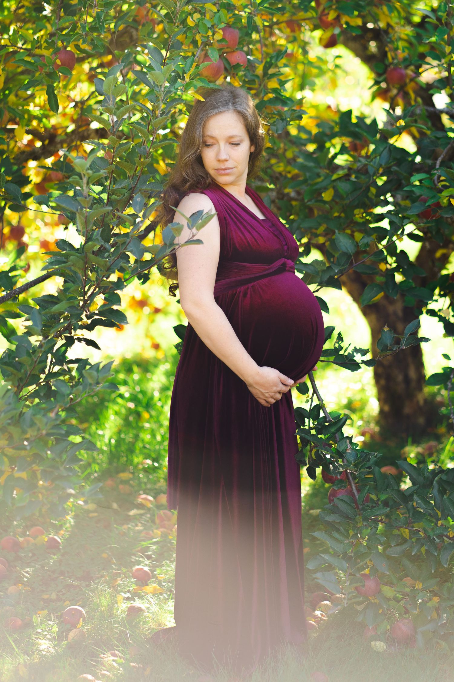 Pregnant woman in burgundy gown cradling her baby bump beneath an apple tree in sunlight.