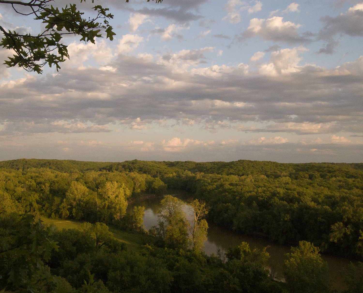 Aerial view of lush green forest with a winding river under a partly cloudy sky at golden hour.