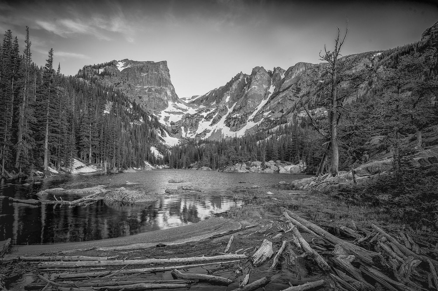 Black and white landscape of a mountain lake with fallen logs and snow-capped peaks in Rocky Mountain National Park.
