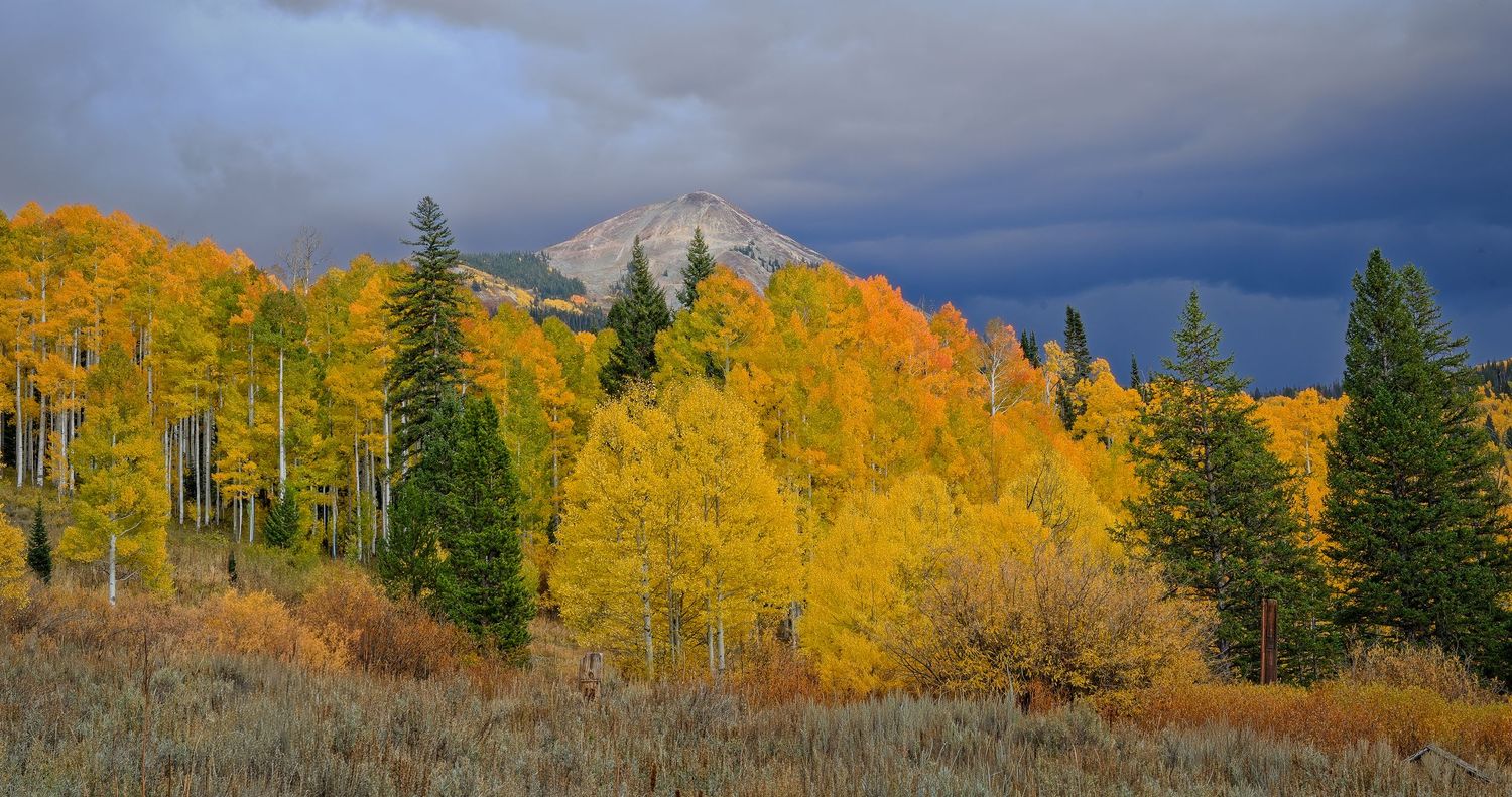 Golden aspen trees glow beneath a snow-capped mountain peak under stormy skies in autumn wilderness.