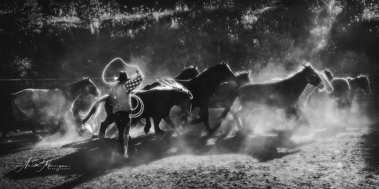 A black and white action shot of a cowboy herding horses through dusty corrals.