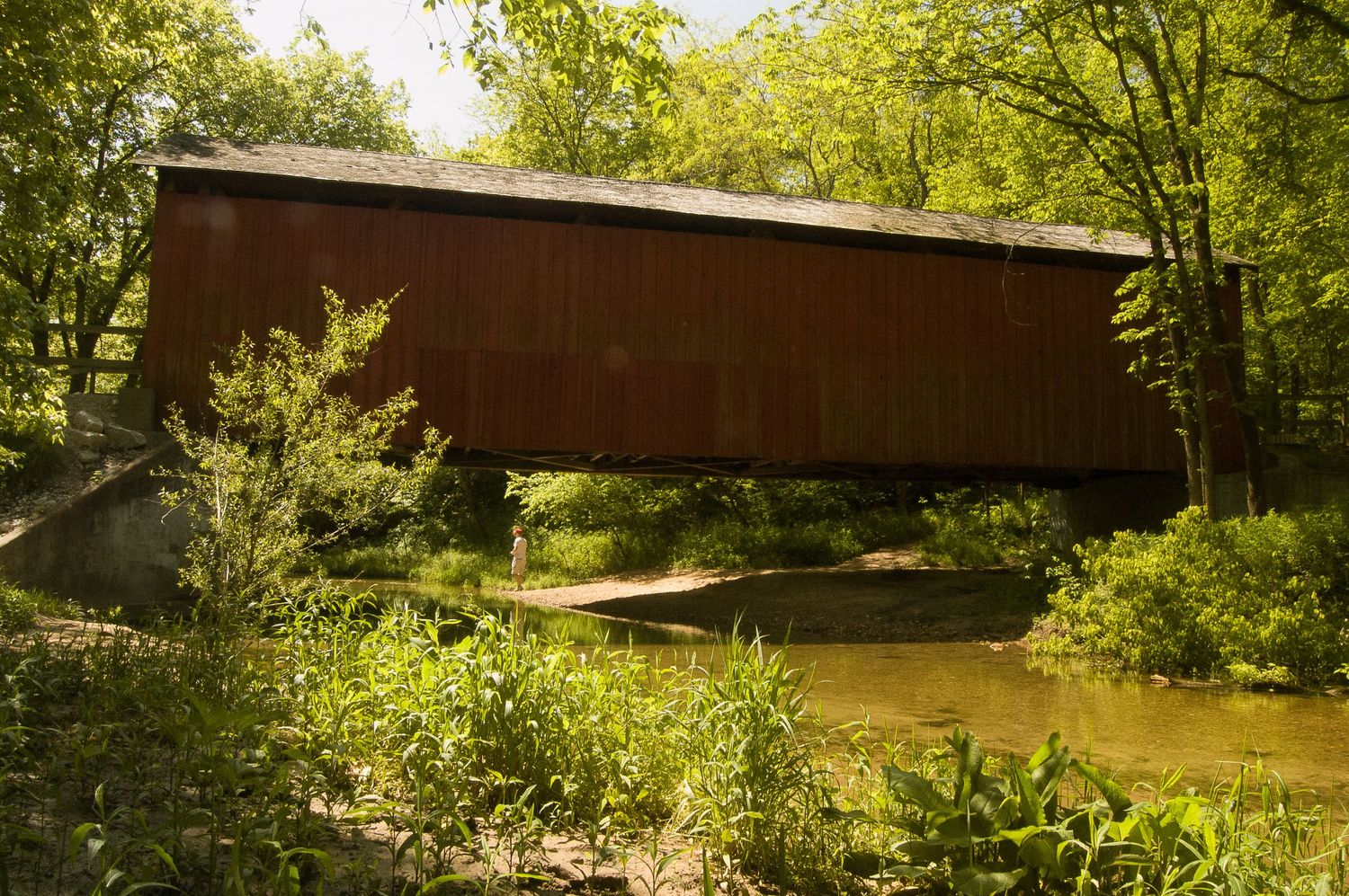 A rustic red covered bridge spanning a calm creek surrounded by lush green trees.