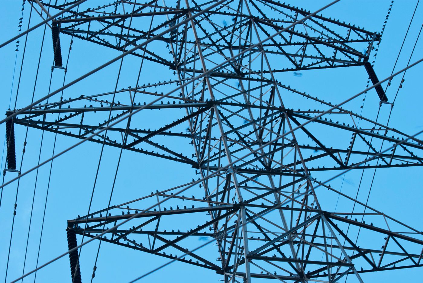 Looking up at a steel electrical transmission tower against a bright blue sky.