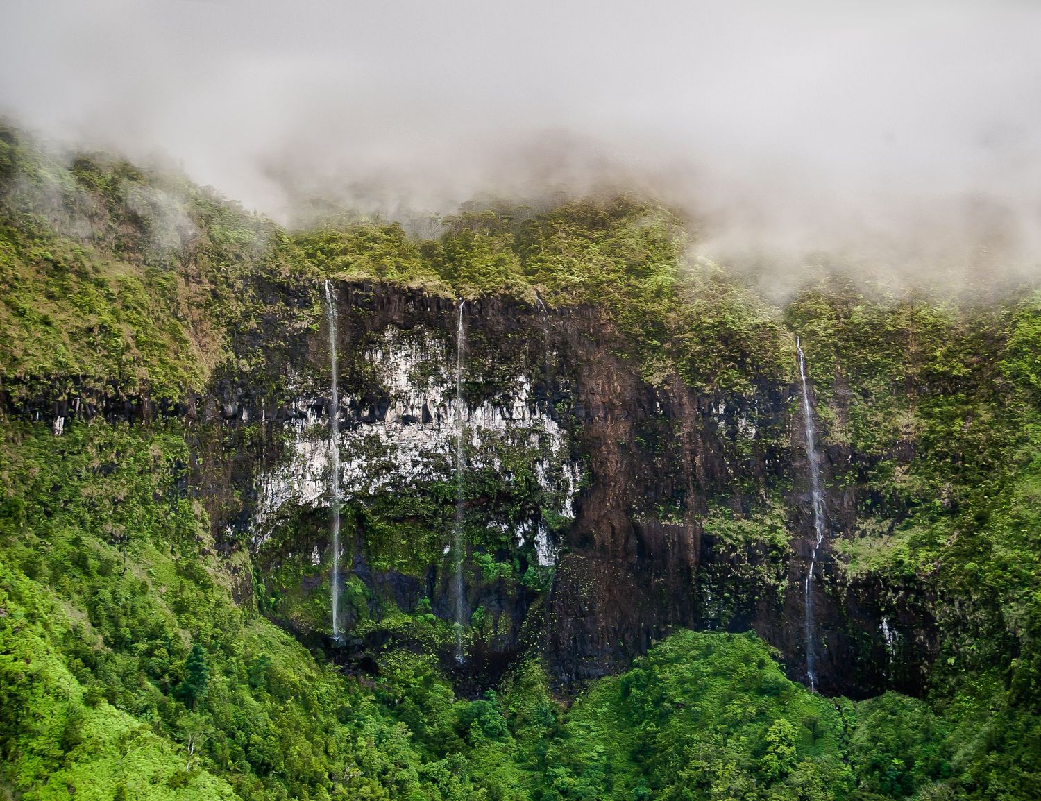 Multiple thin waterfalls cascade down a lush green misty cliff face surrounded by tropical rainforest.
