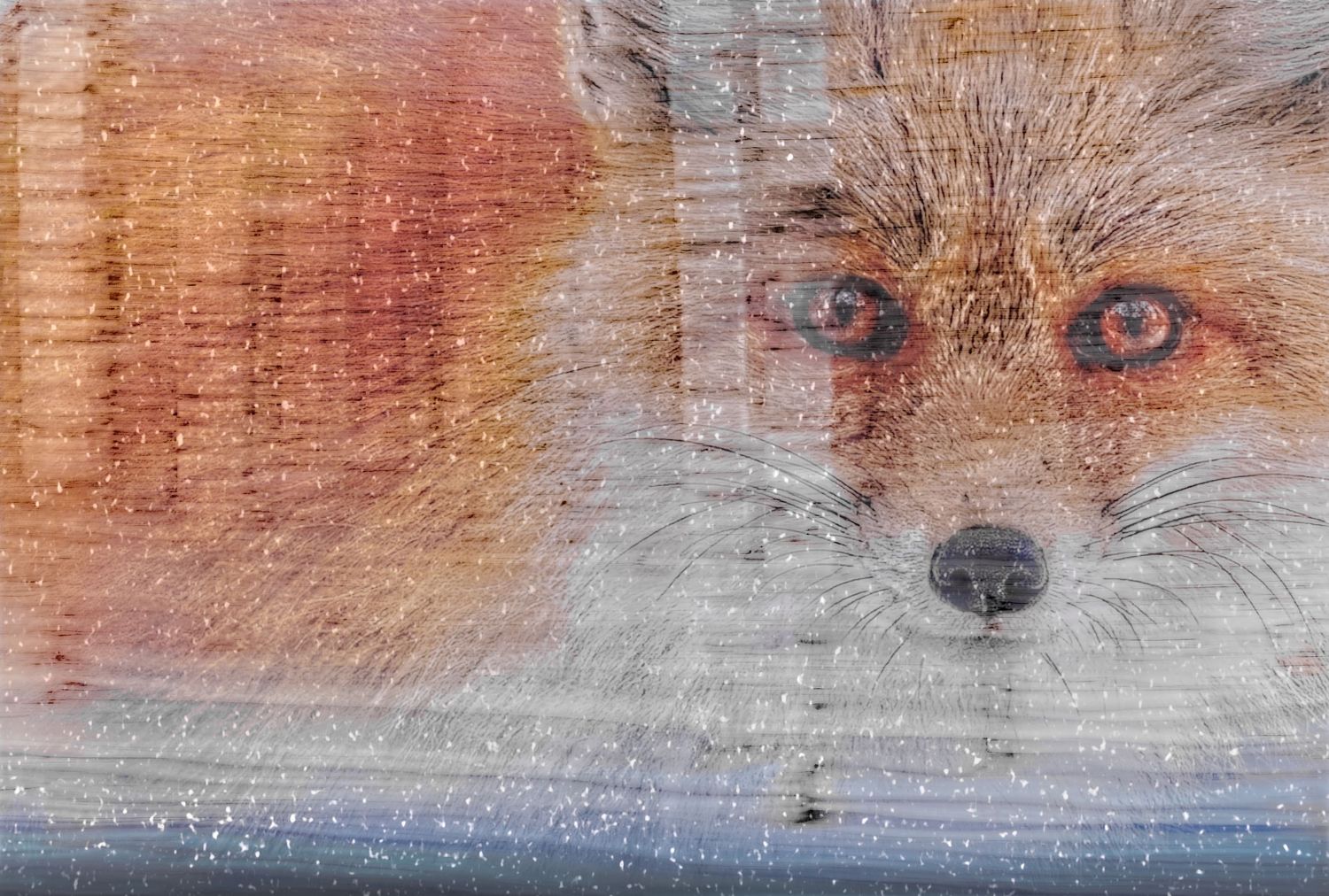 A detailed fox portrait artwork painted on weathered wood with a rustic textured finish.