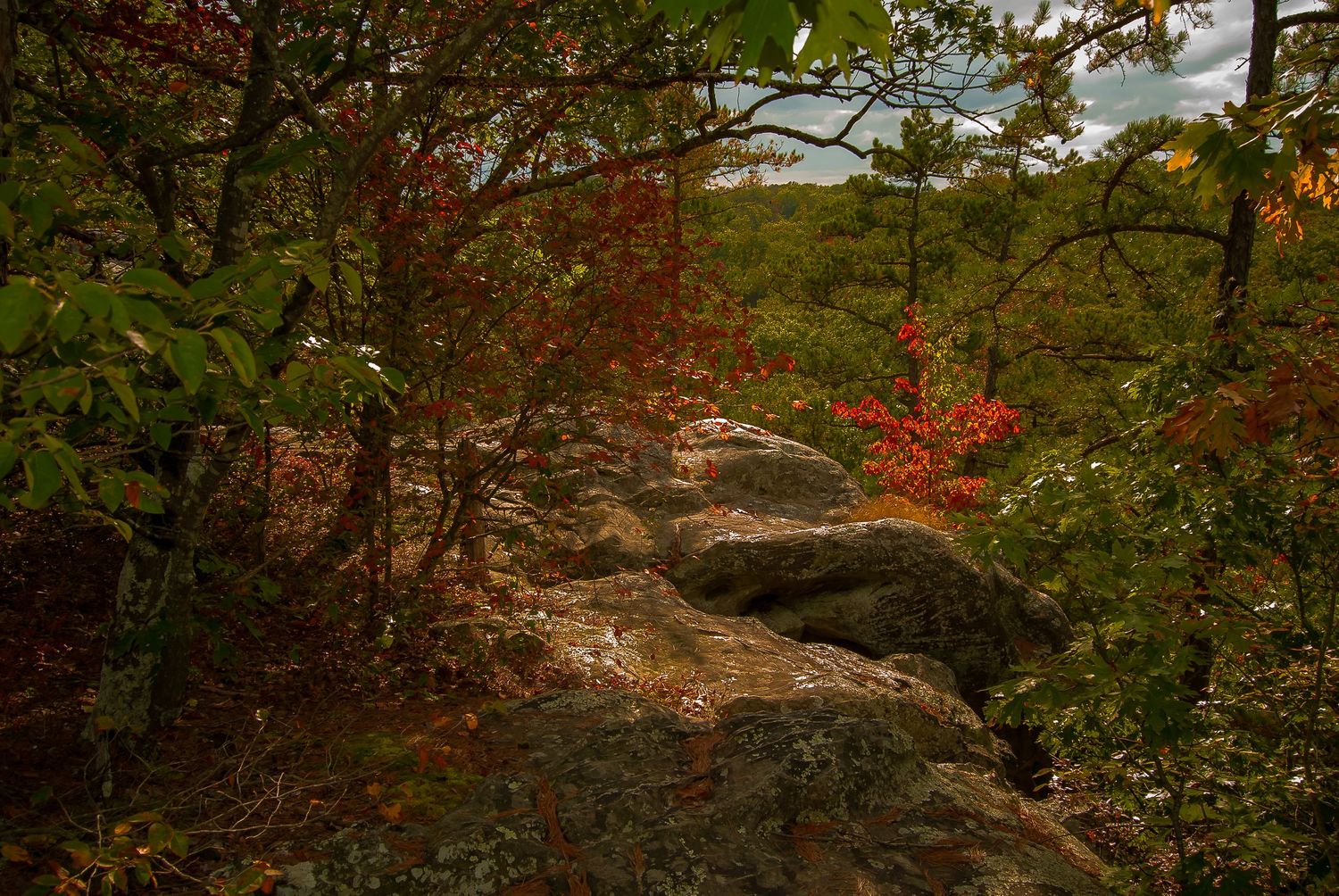 Rocky outcrop trail winding through vibrant autumn foliage in a dense forest.