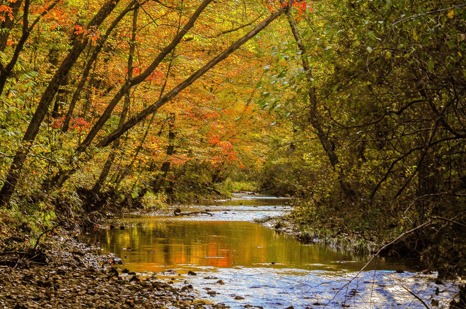 A peaceful autumn river flowing through a colorful forest with orange and yellow foliage.