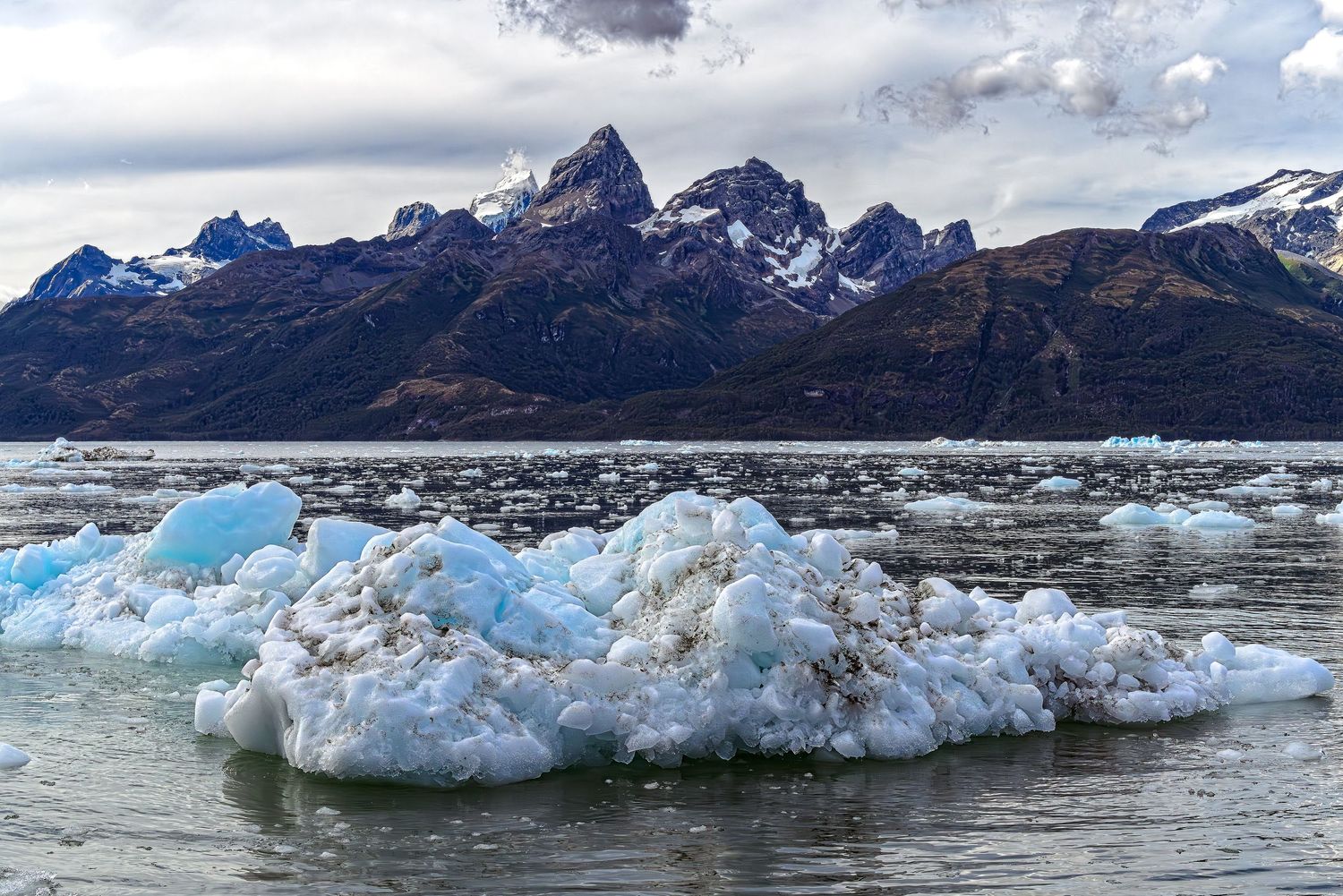 Blue icebergs float on glacial waters with dramatic snow-capped mountain peaks in the background.