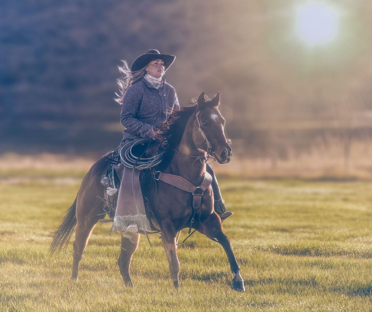 A cowgirl rides a galloping horse across a sunlit green meadow at golden hour.