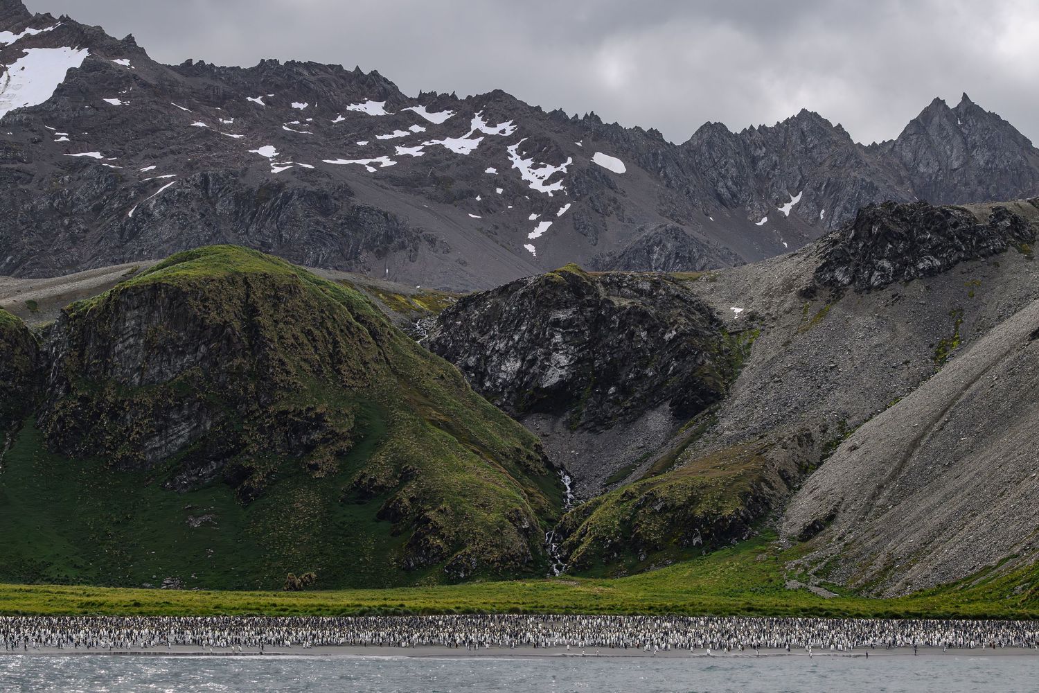 A dramatic mountainous landscape with snow-capped peaks, green hills, and a large penguin colony along the shoreline.