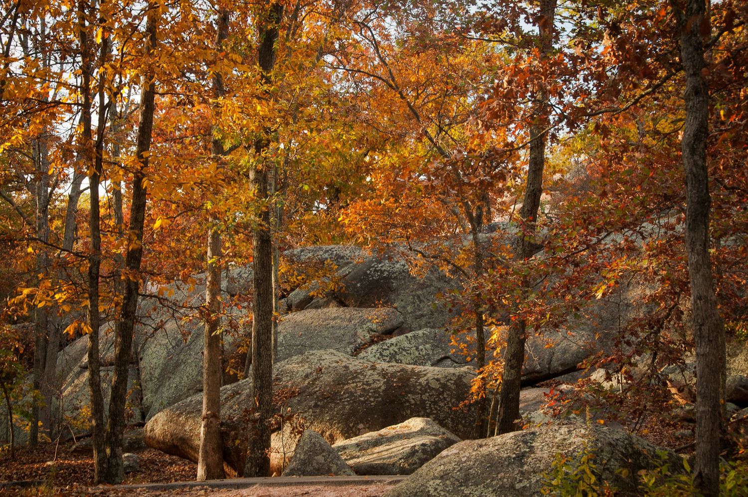 Autumn forest scene with vibrant orange foliage, tall trees, and large granite boulders along a winding woodland path.