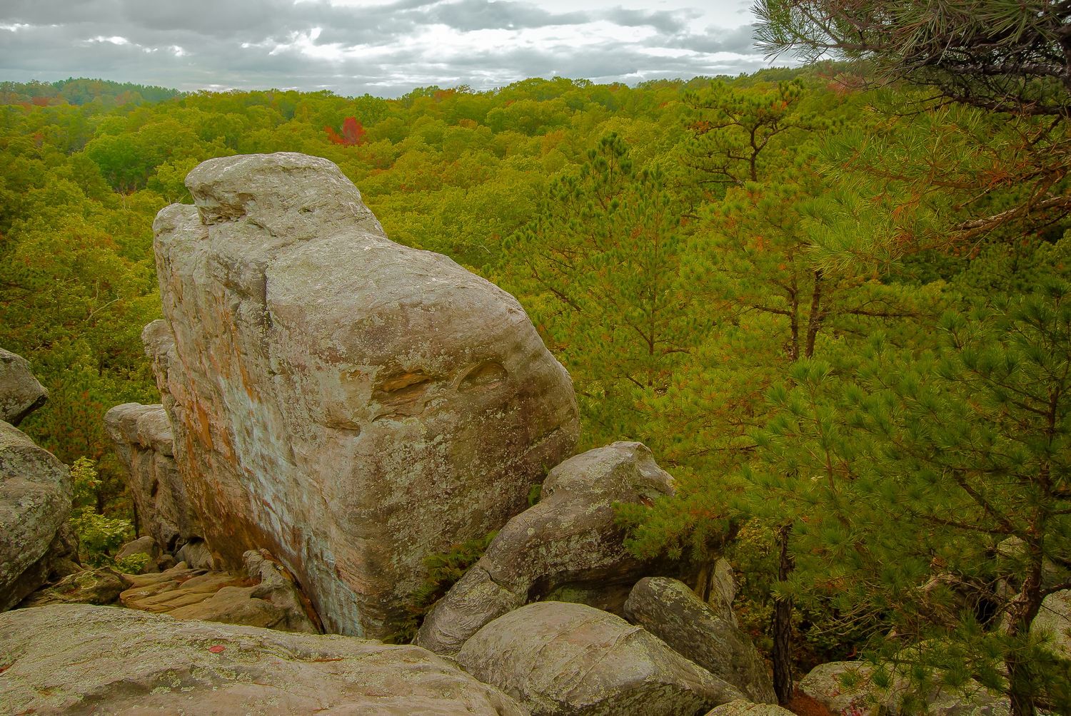 Large granite boulders overlook a dense green forest canopy under an overcast sky in a rocky landscape.