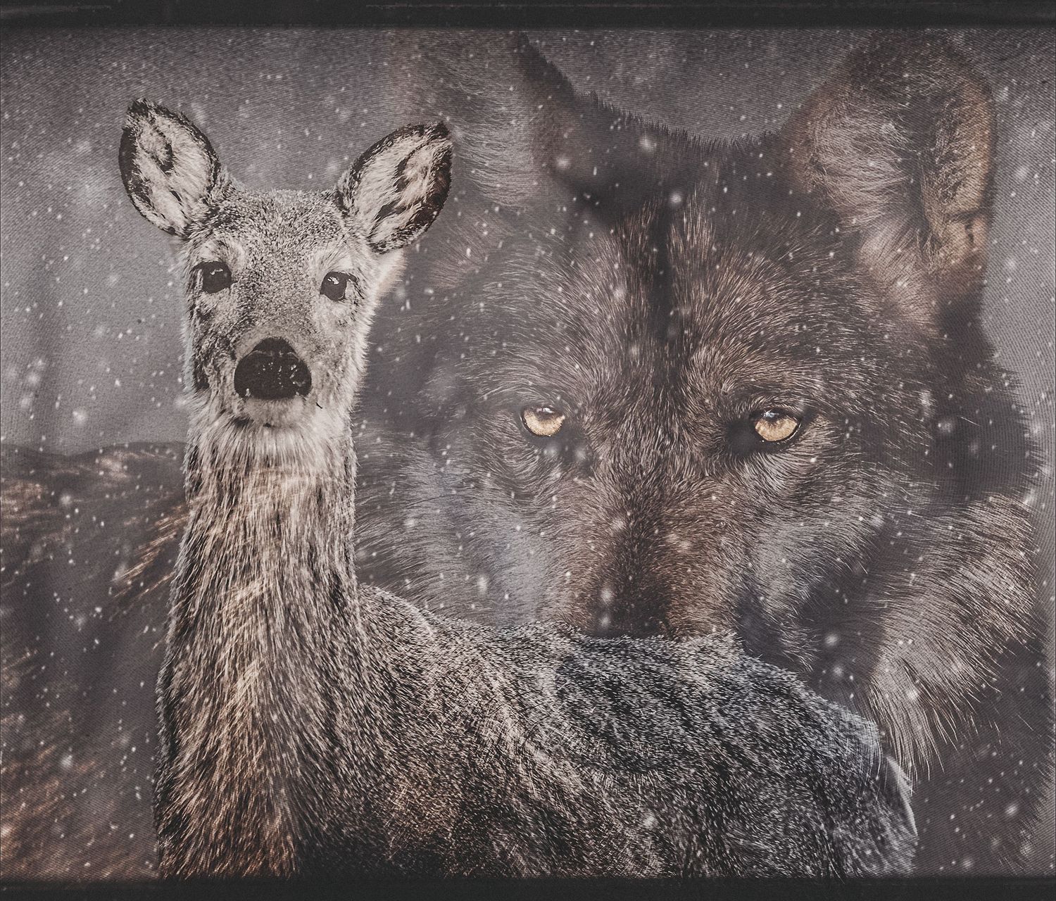 A dramatic close-up portrait of a wolf and young deer together in falling snow, evoking predator and prey.
