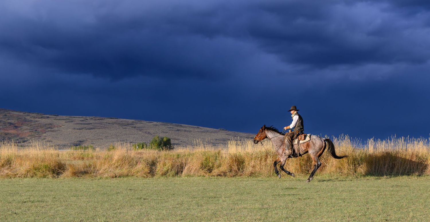 A lone rider on horseback gallops across an open field beneath a dramatic dark stormy sky.