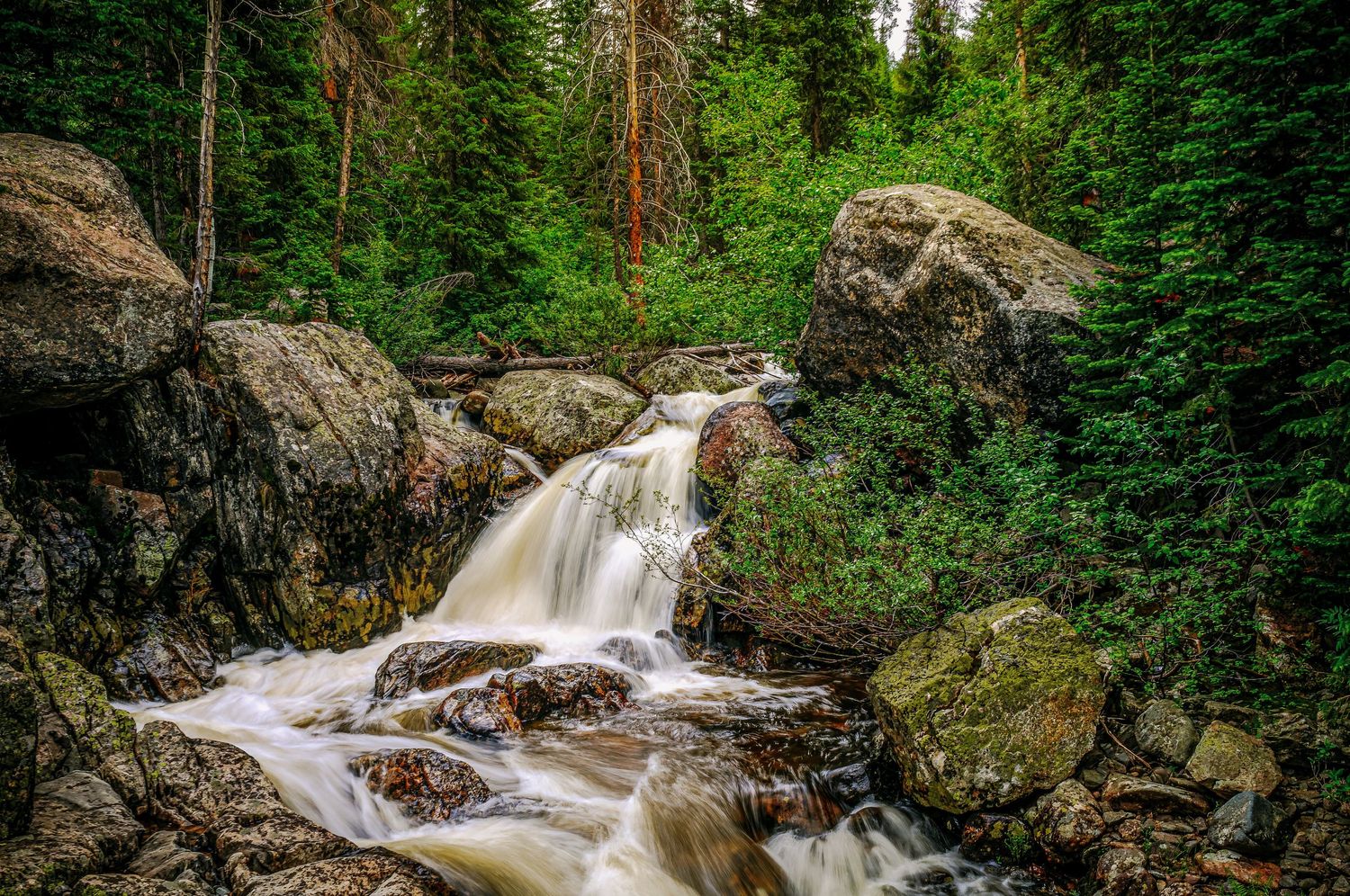 A rushing waterfall flows over mossy boulders through a dense green Rocky Mountain forest.