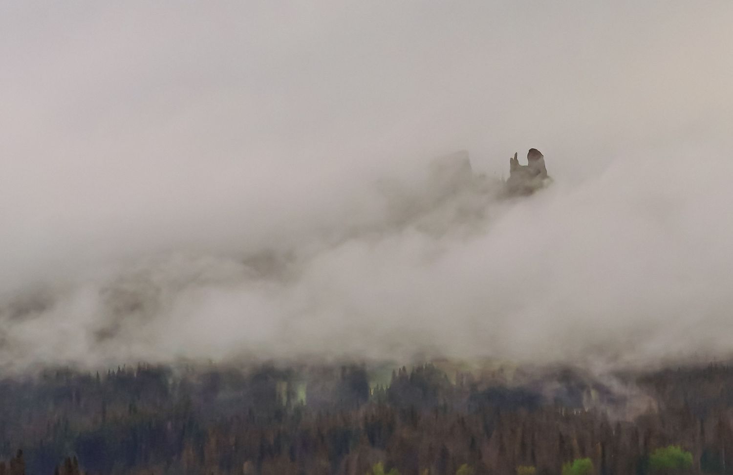 Mysterious castle or church tower emerging through thick fog above a dense forest.