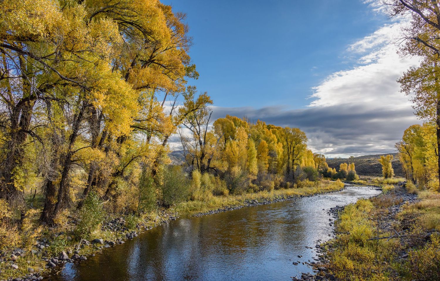Peaceful river winds through golden cottonwood trees in full autumn color under a partly cloudy blue sky.