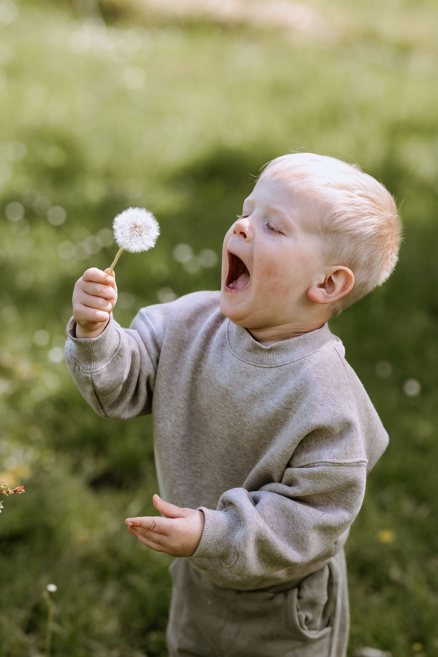 A child in a gray sweater joyfully blowing on a dandelion seed head in a sunny meadow.