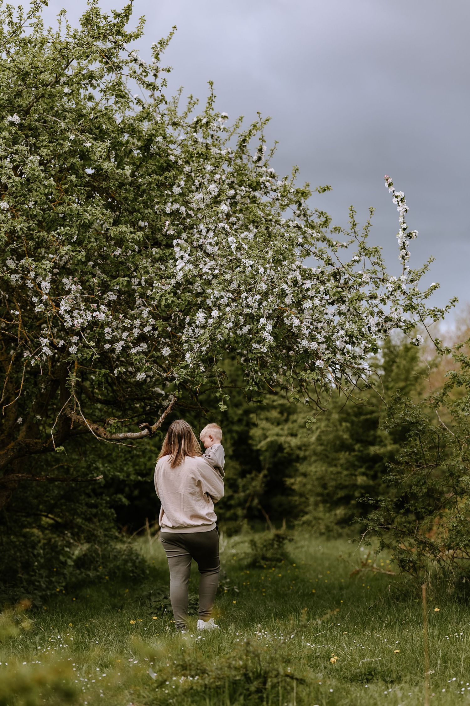 Someone stands beneath blooming white spring trees in a peaceful garden setting.