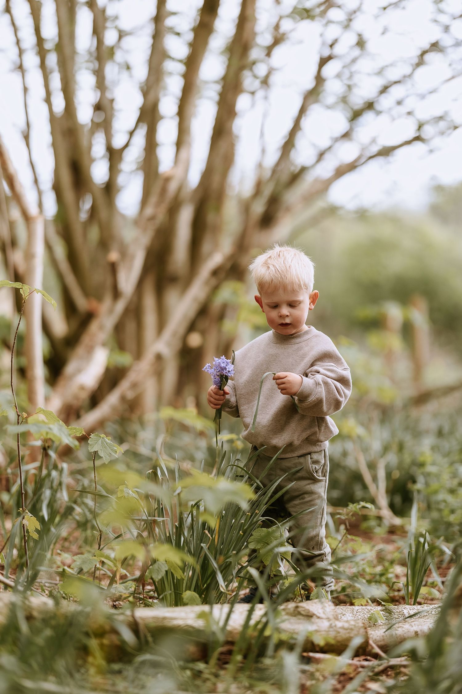 Small child in beige sweater picking purple wildflowers in a natural woodland setting.
