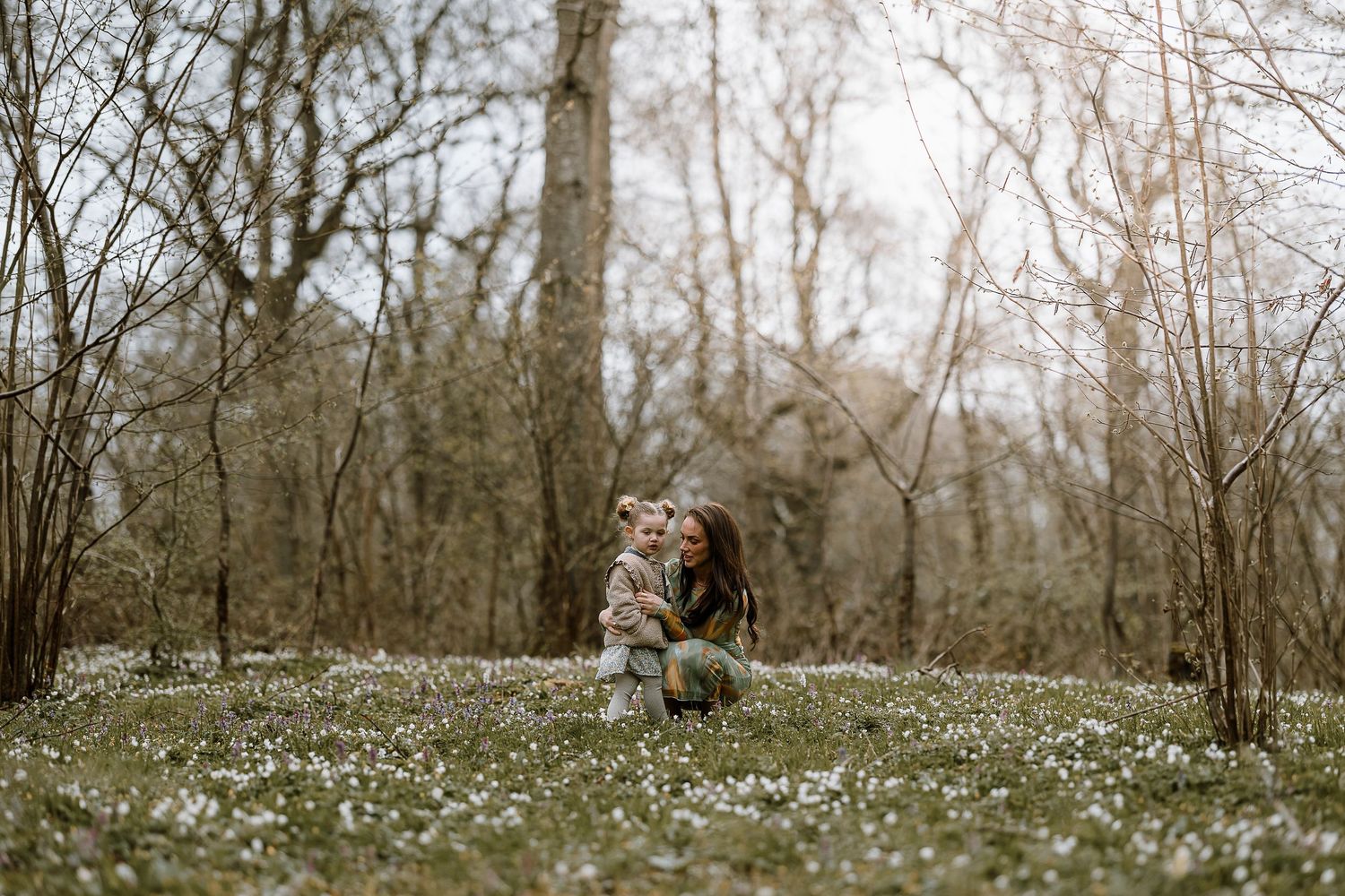 A scenic spring forest scene with white wildflowers blooming across the ground in a dreamy woodland setting.