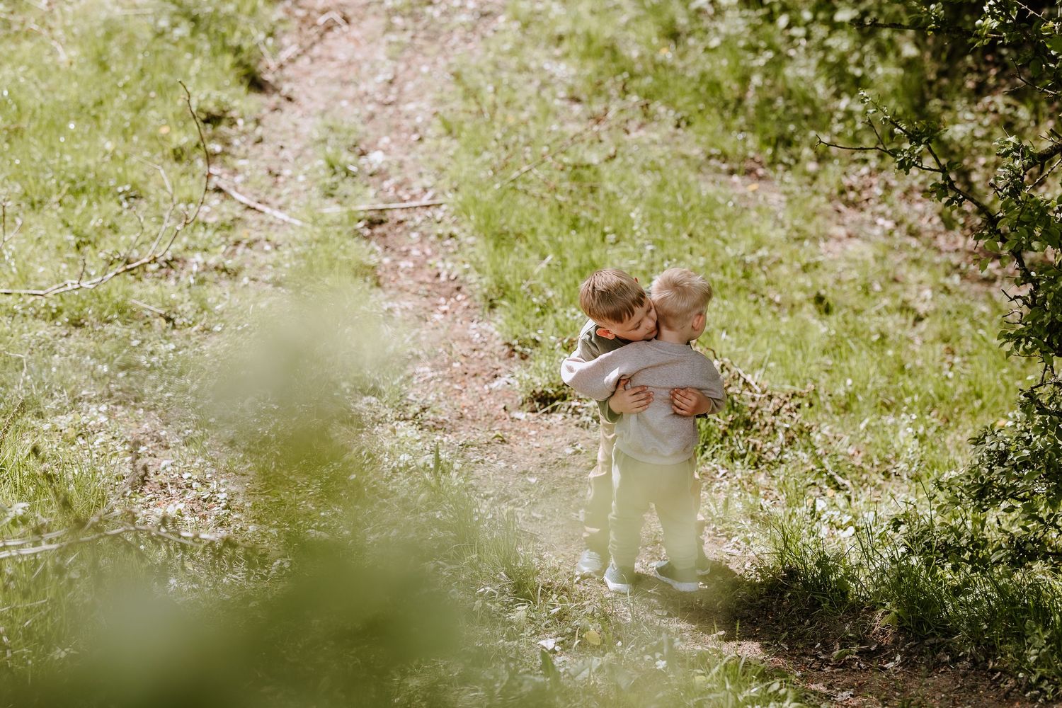 A gentle embrace captured through spring foliage in a sun-dappled meadow.
