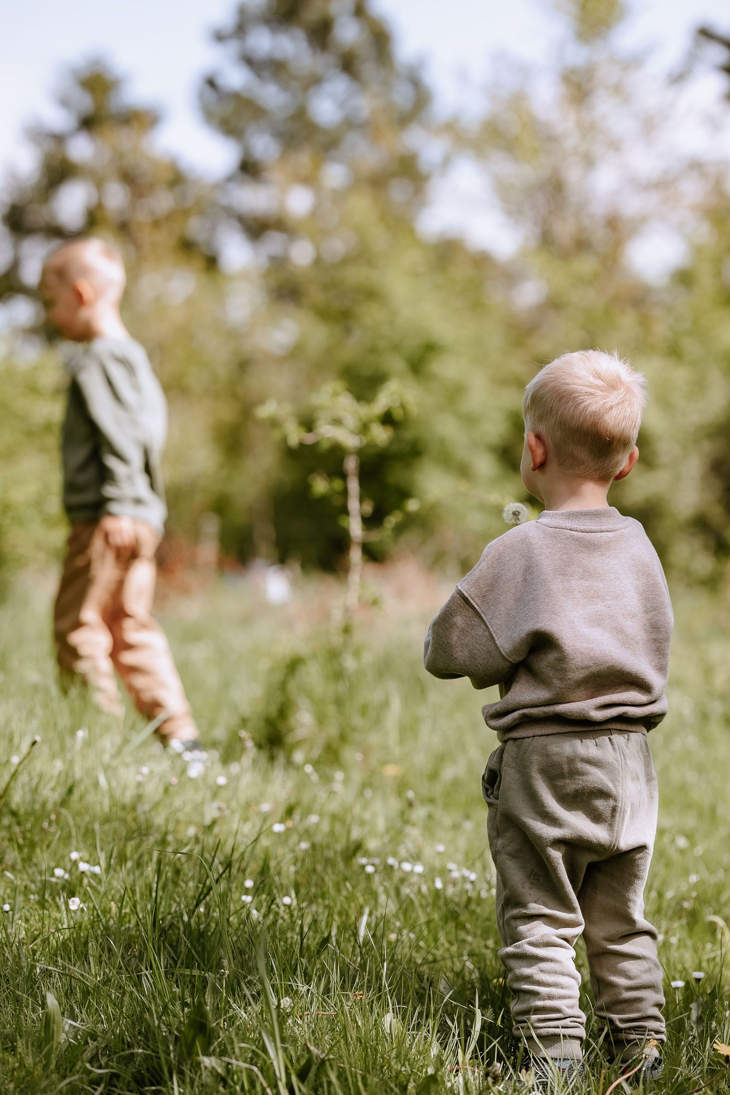 Two figures standing in a wildflower meadow with soft natural lighting and green surroundings.