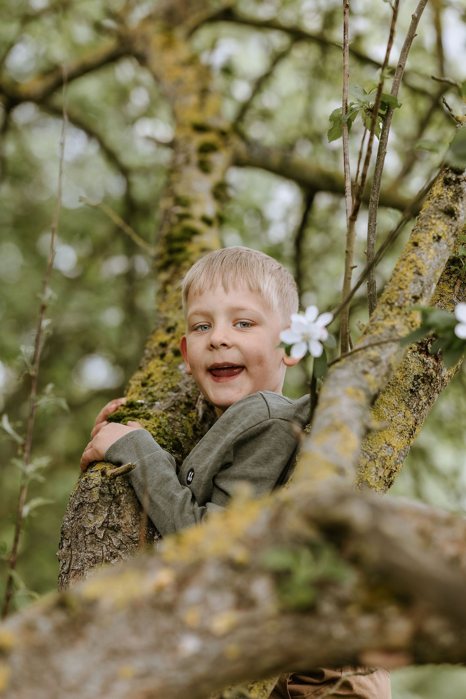A child climbs and plays in a flowering tree with pure joy on their face.