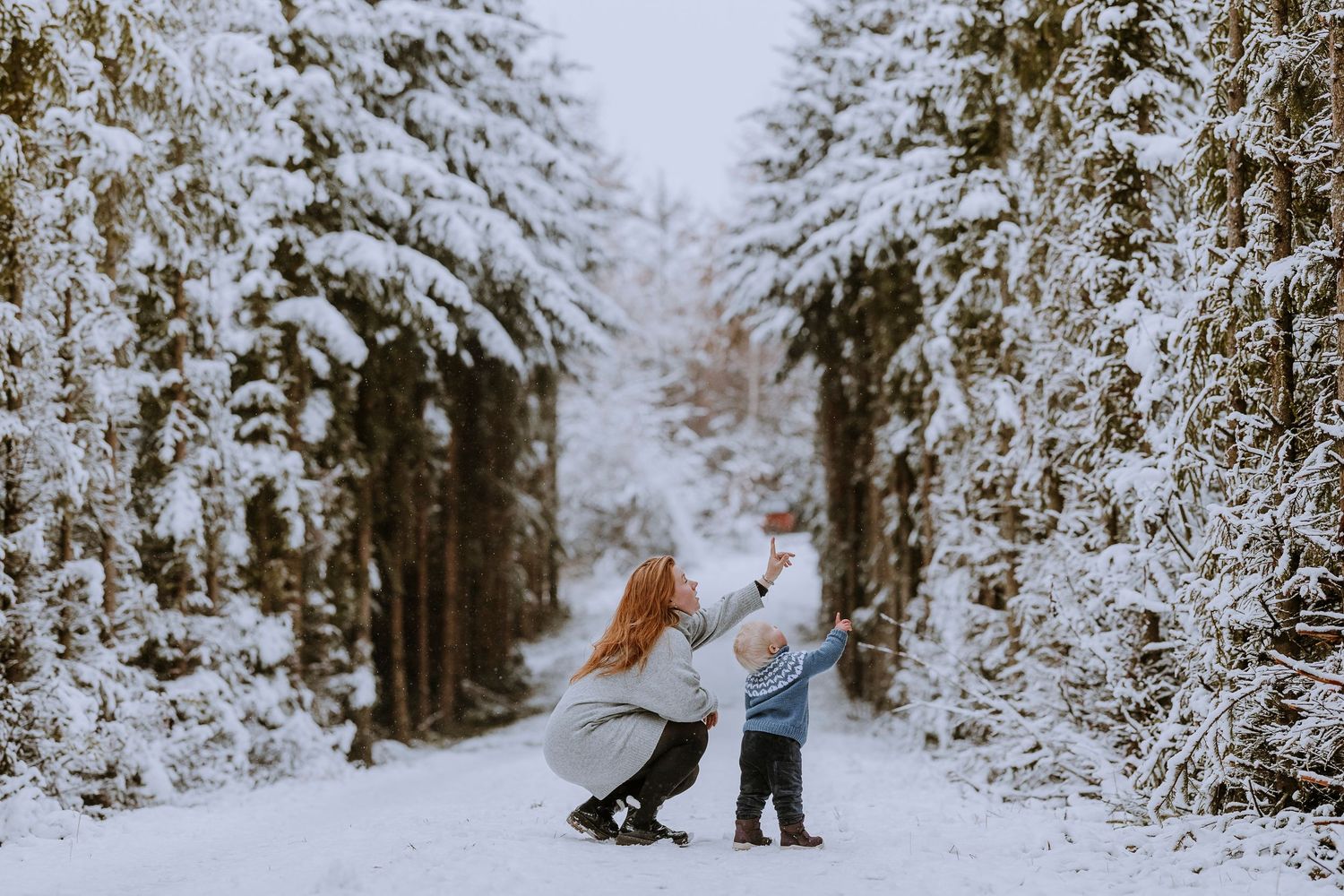 Playing in snow-covered forest trail during winter family photoshoot.