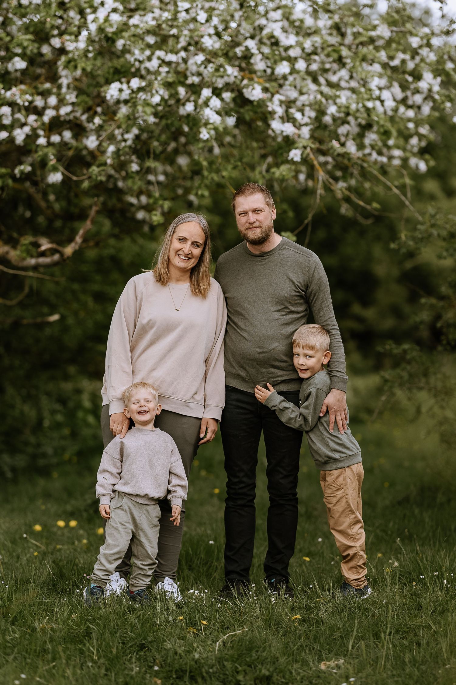 Family of four posing together under flowering tree in springtime meadow.