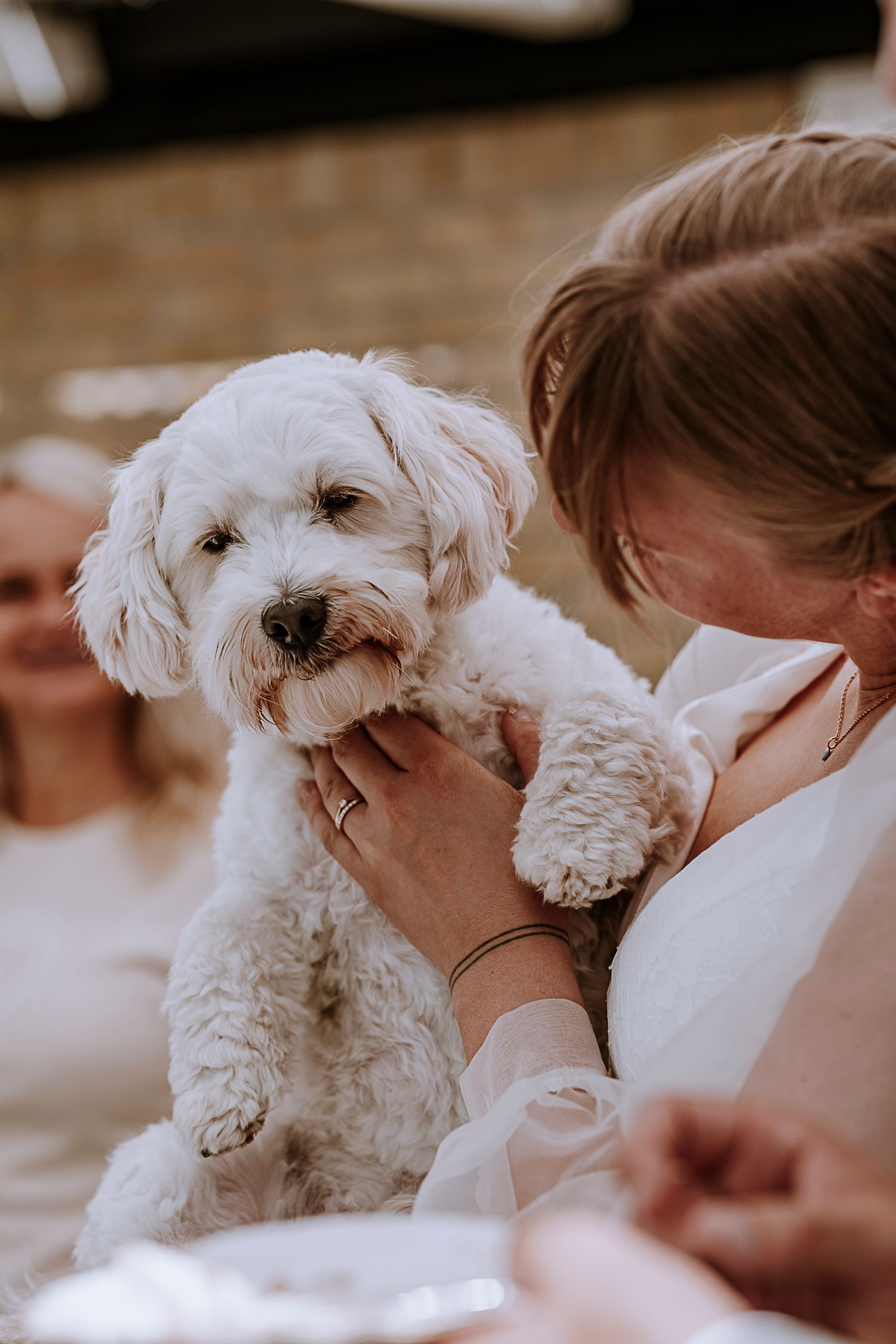 Adorable white fluffy dog being held and petted at outdoor event.