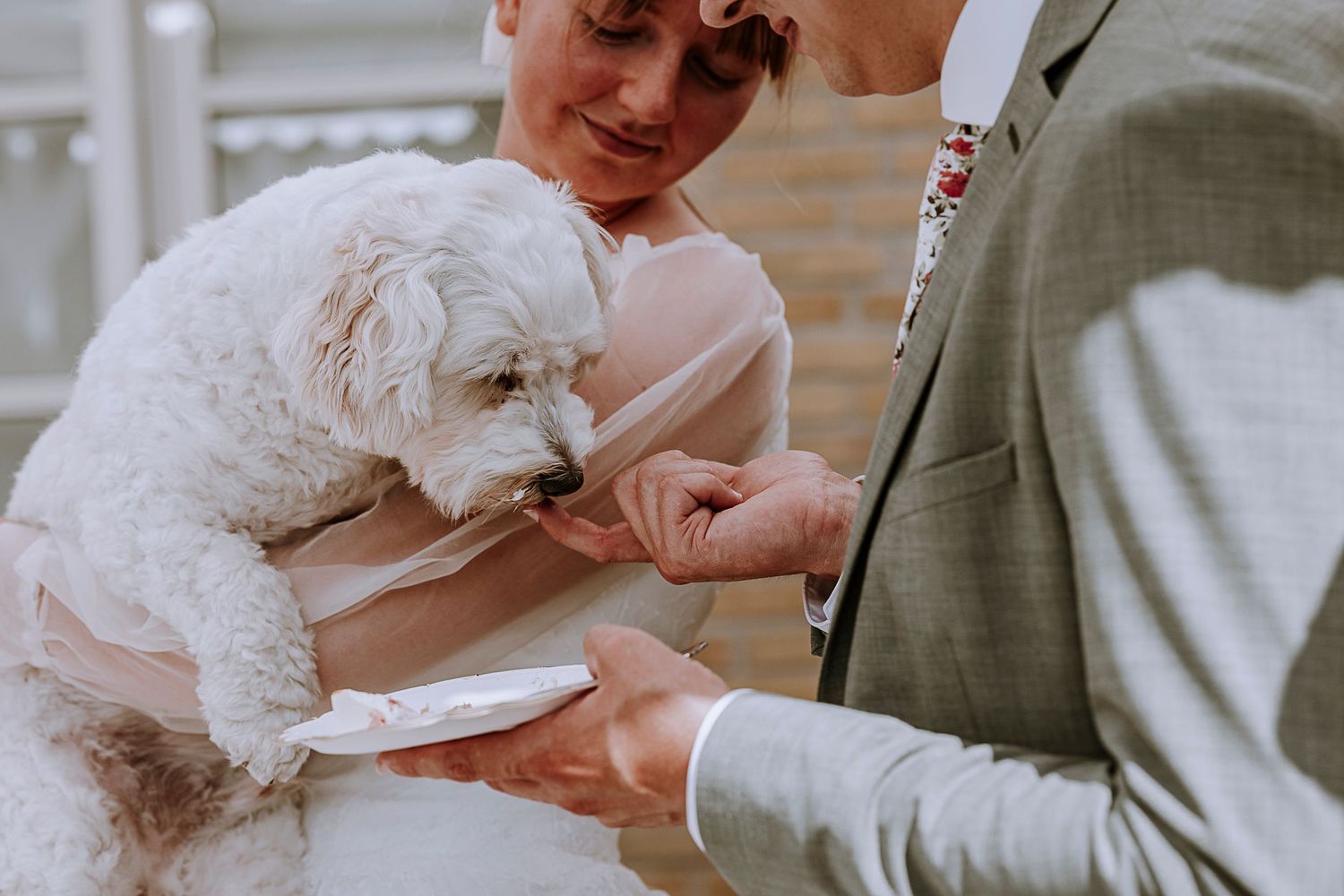 White fluffy dog being held while receiving treats at outdoor event.