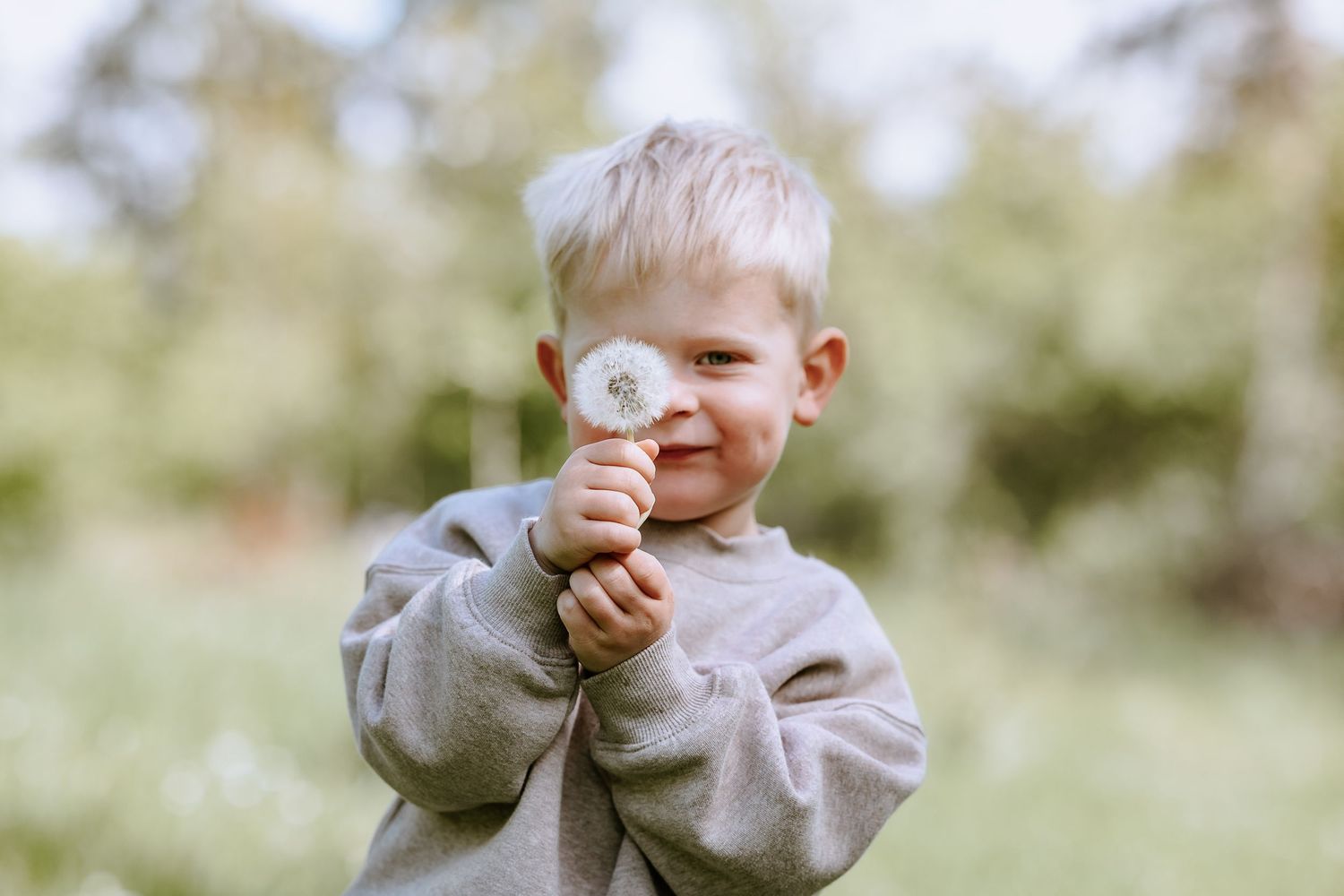 A candid moment of childhood wonder as a young child examines a dandelion in natural light.