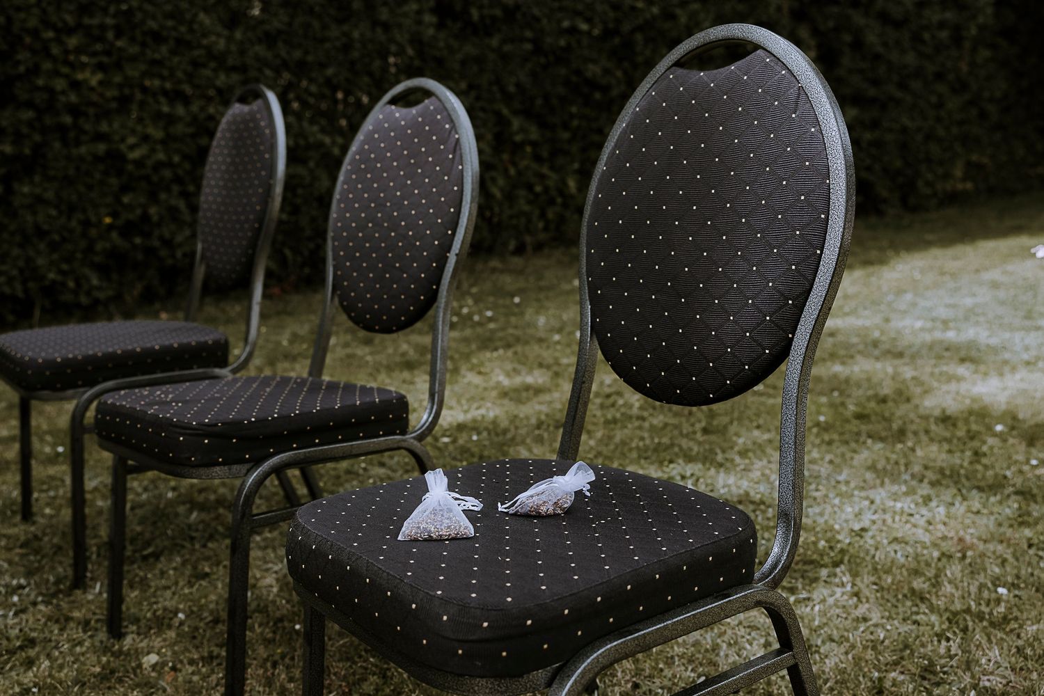Empty black banquet chairs with polka dot pattern arranged on grass lawn at outdoor event.