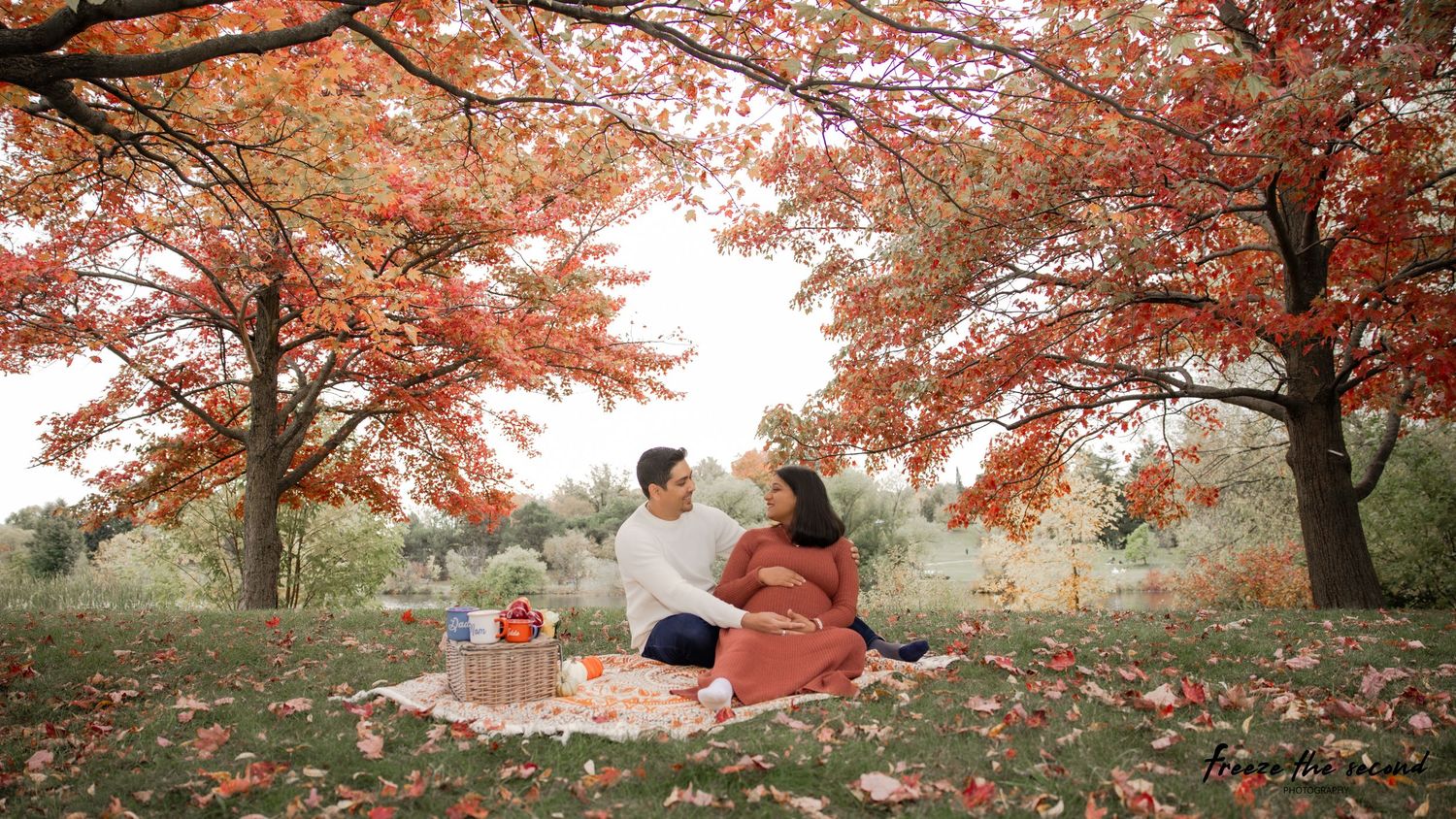 Panoramic view of red maple trees with autumn foliage against a soft natural background.