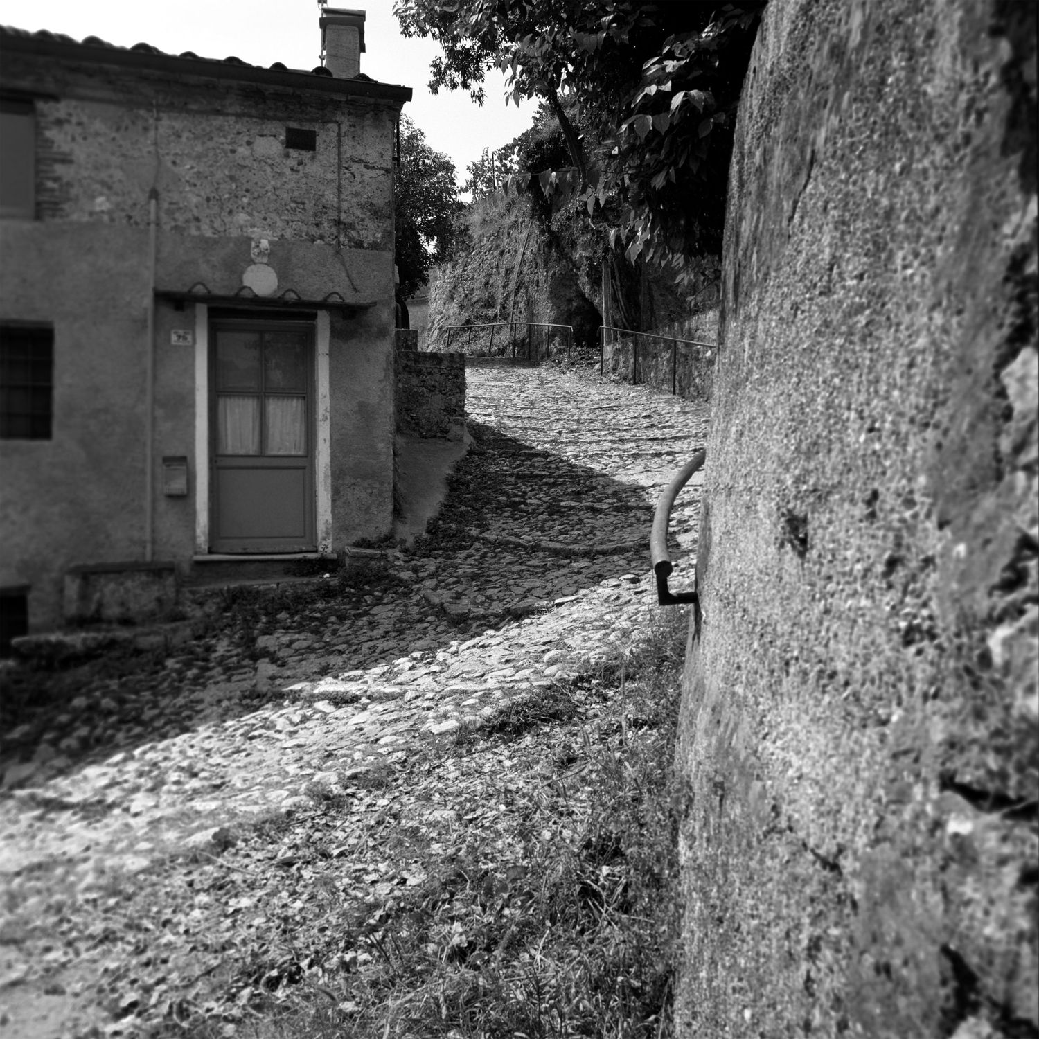 Stone pathway winding between old rustic buildings and trees.