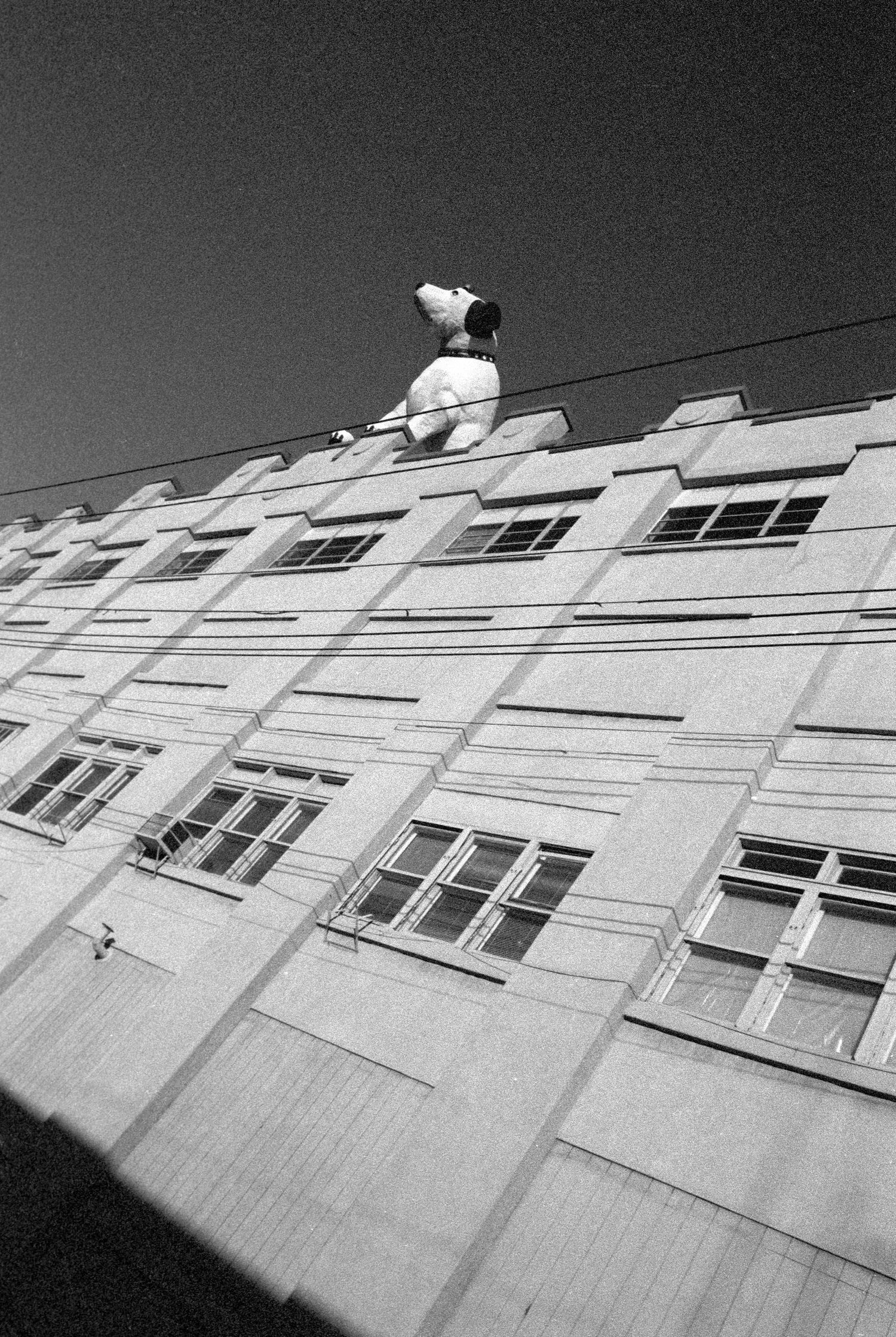 Low angle view of a white building facade with windows creating geometric patterns.