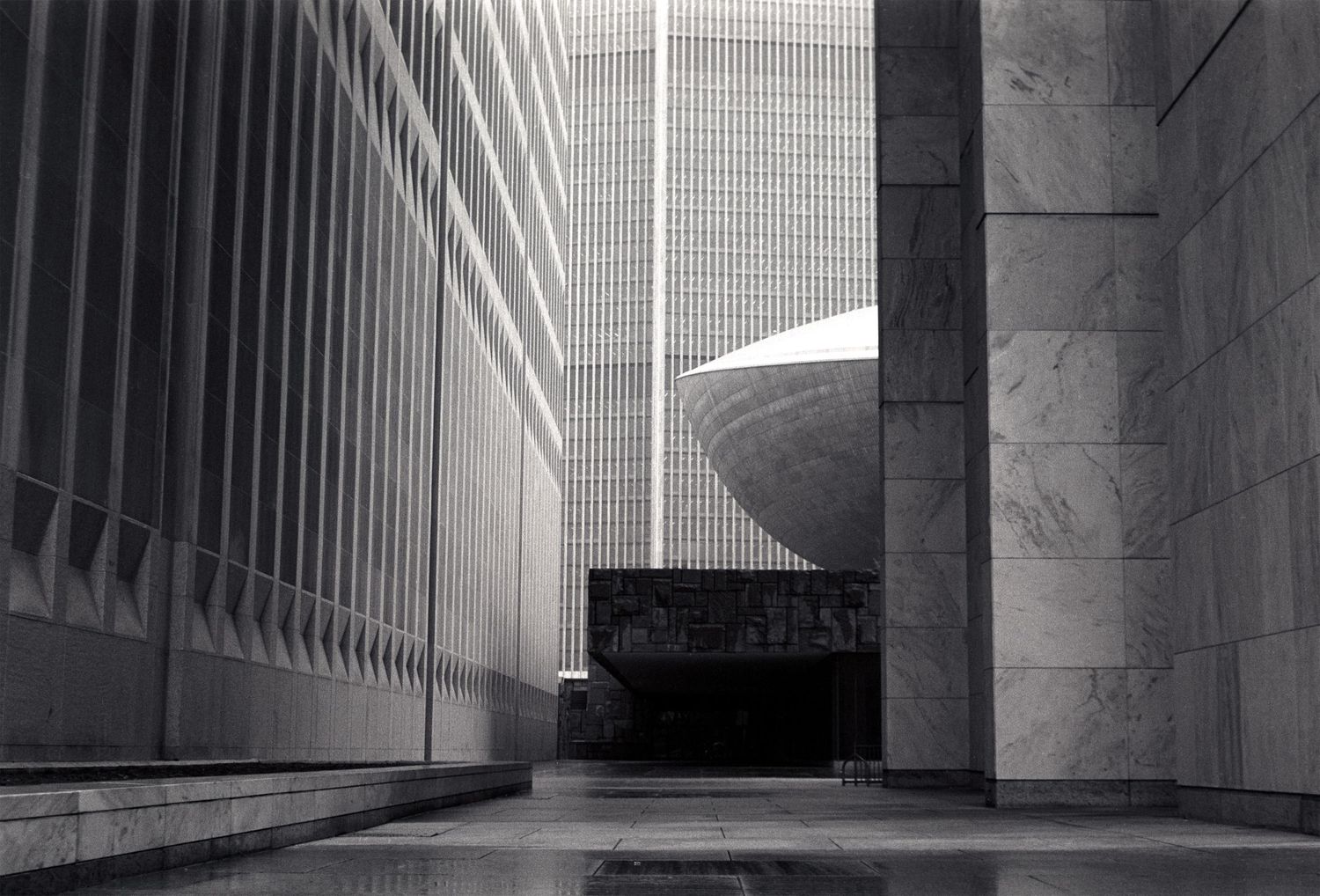 Minimalist architectural interior with repeating columns and dramatic shadows.